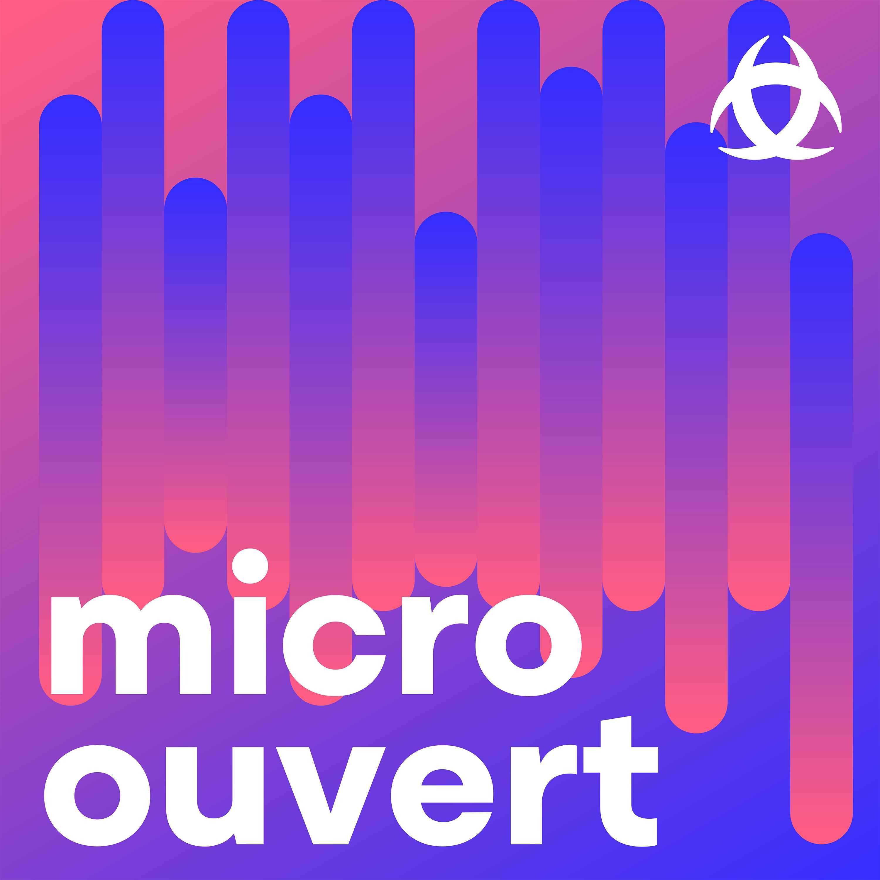 Entretien avec Thomas Cazenave, maire de Bordeaux episode artwork