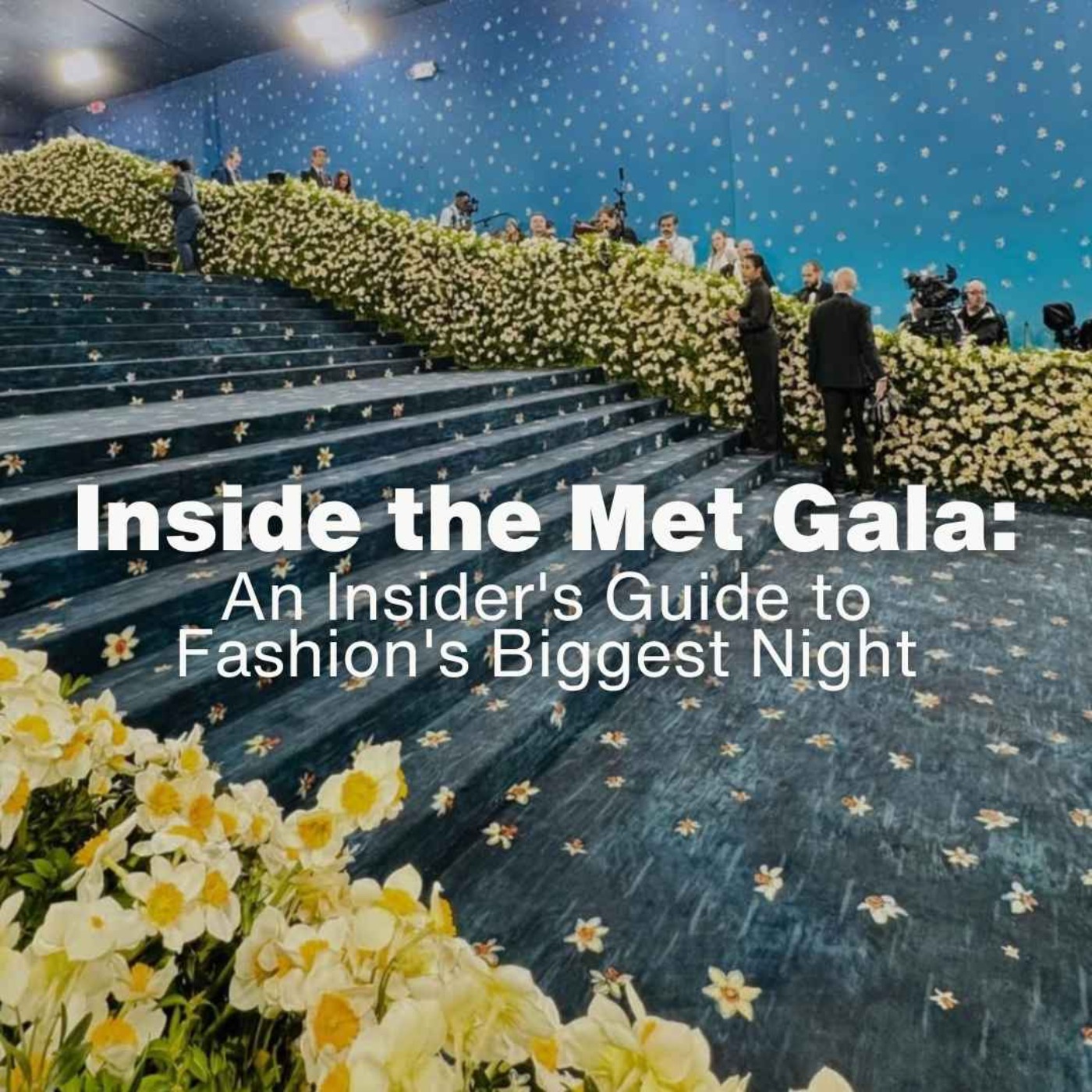 Inside the Met Gala: An Insider's Guide to Fashion's Biggest Night