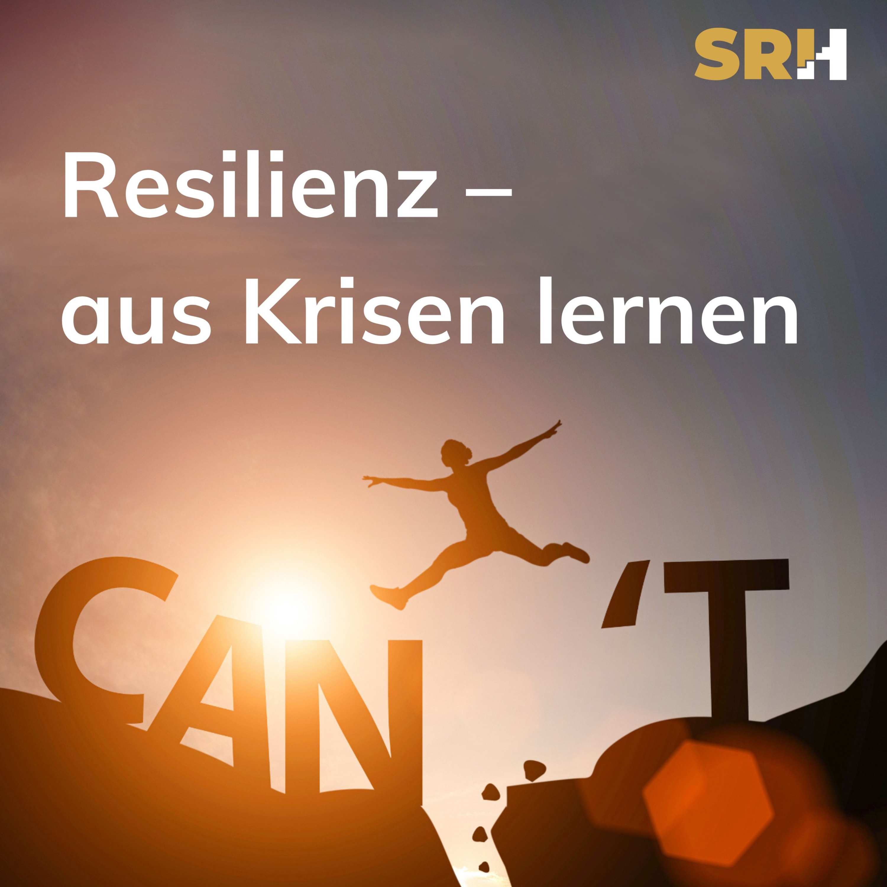 Resilienz - aus Krisen lernen