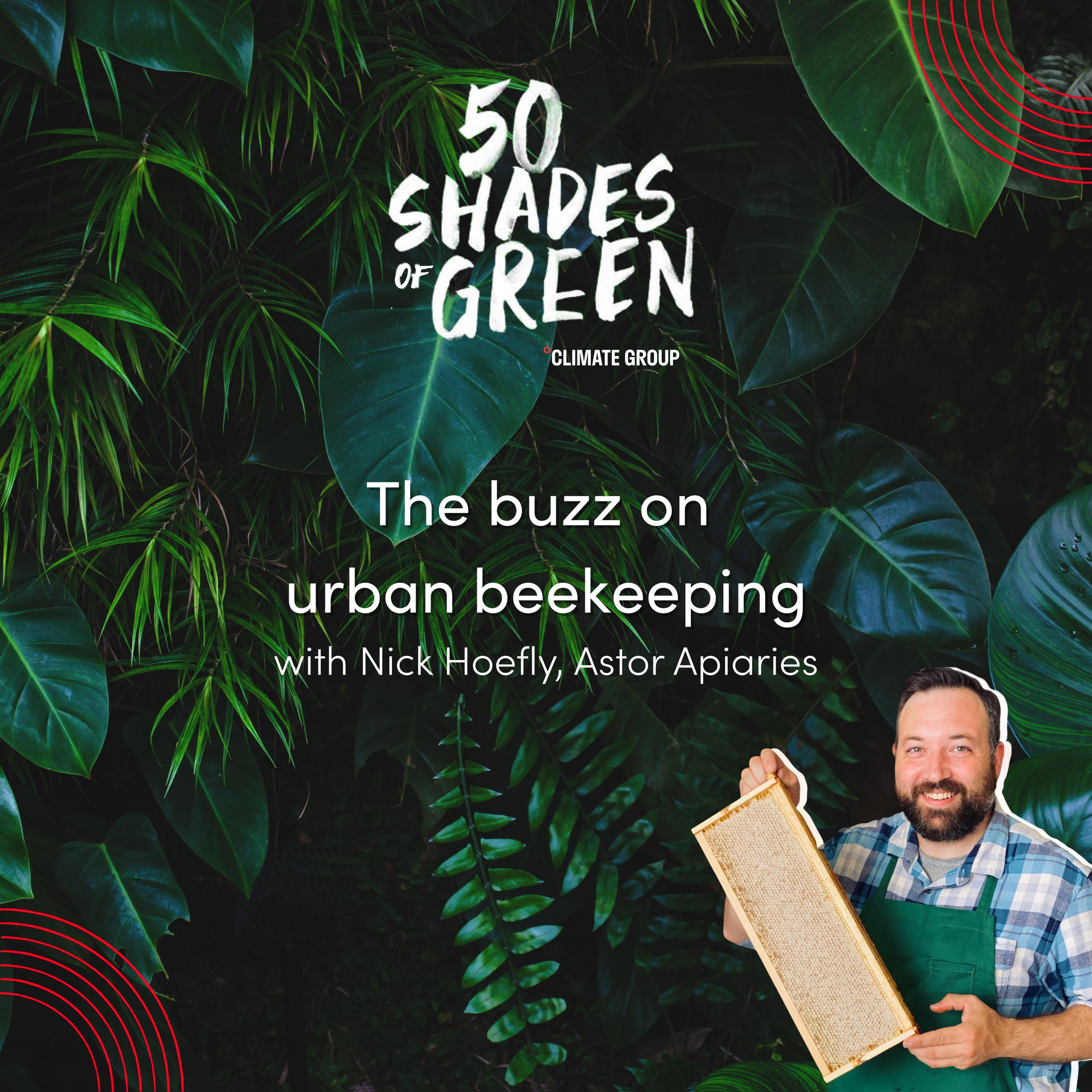 The buzz on urban beekeeping - Nick Hoefly, Astor Apiaries episode artwork