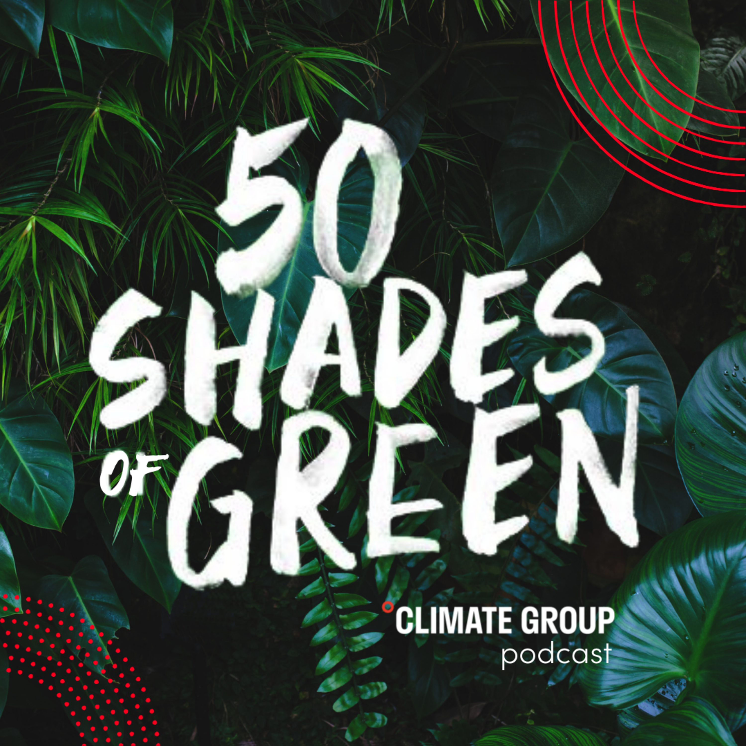 Climate Finance - NY Green Bank; COP29 Recap episode artwork