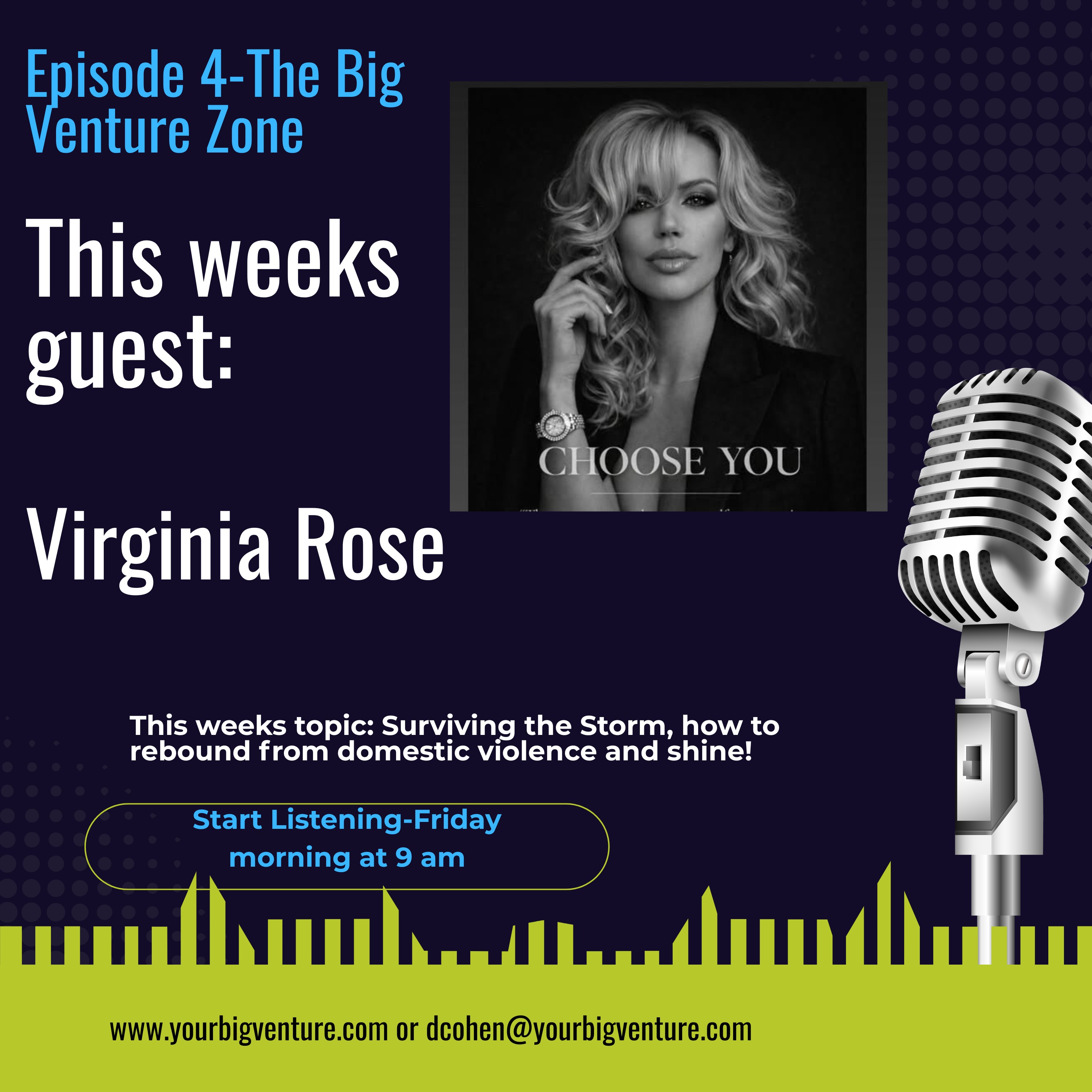 The Big Venture Zone-Surviving the Storm-from domestic violence to shining your light! episode artwork