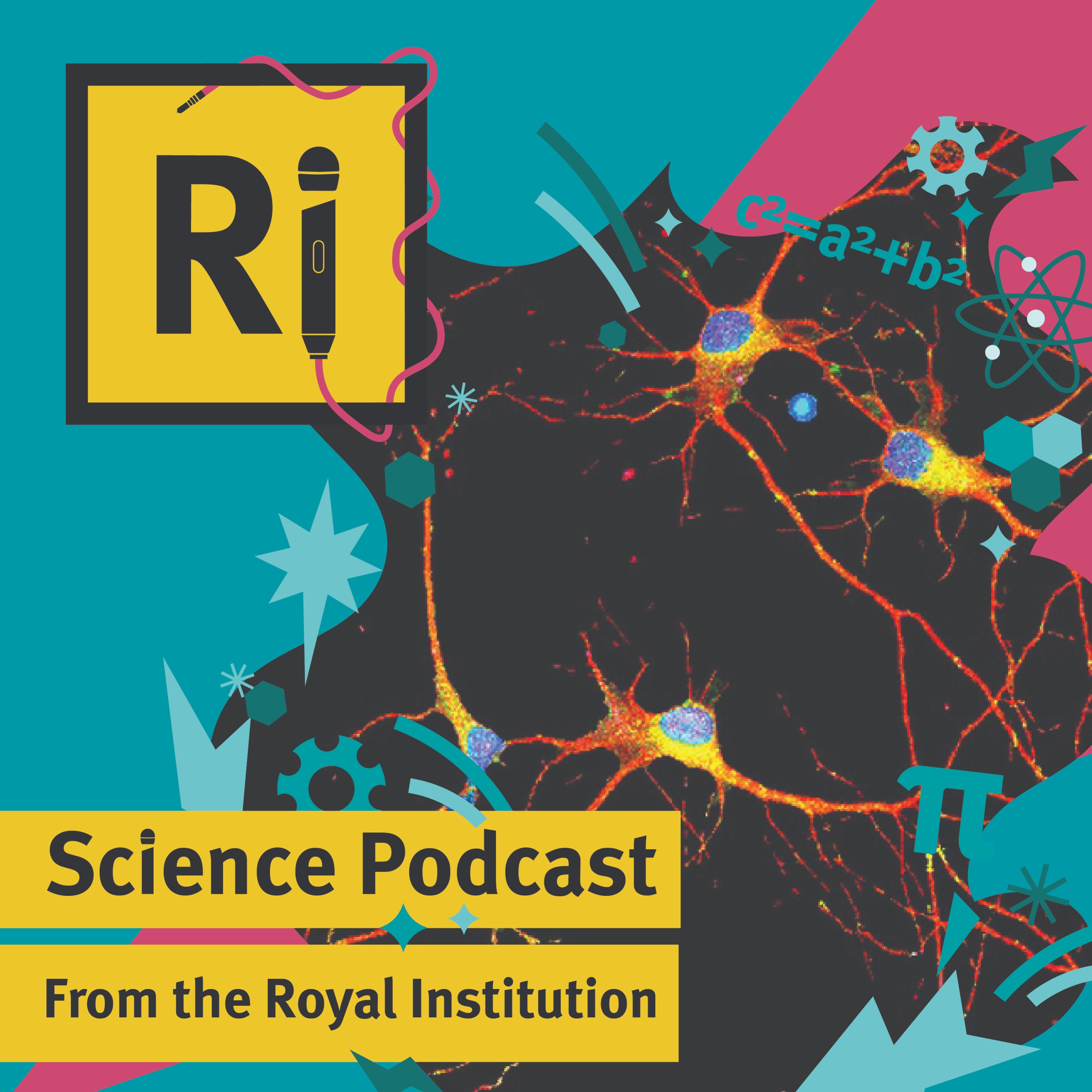 The role of inflammation in Alzheimer's Disease - with Tomi Akingbade The role of inflammation in Alzheimer's Disease - with Tomi Akingbade
