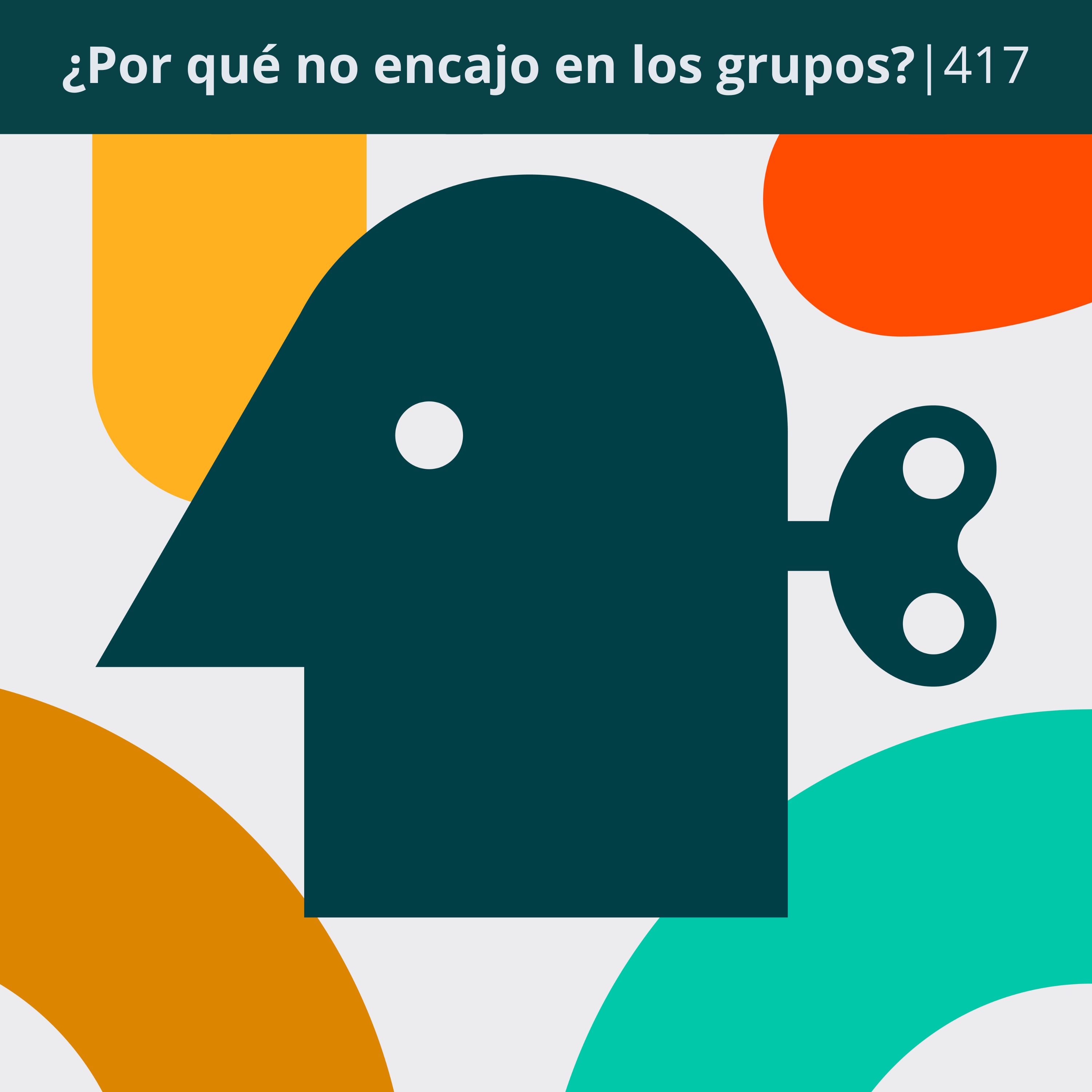 ¿Por qué no encajo en los grupos? | 417