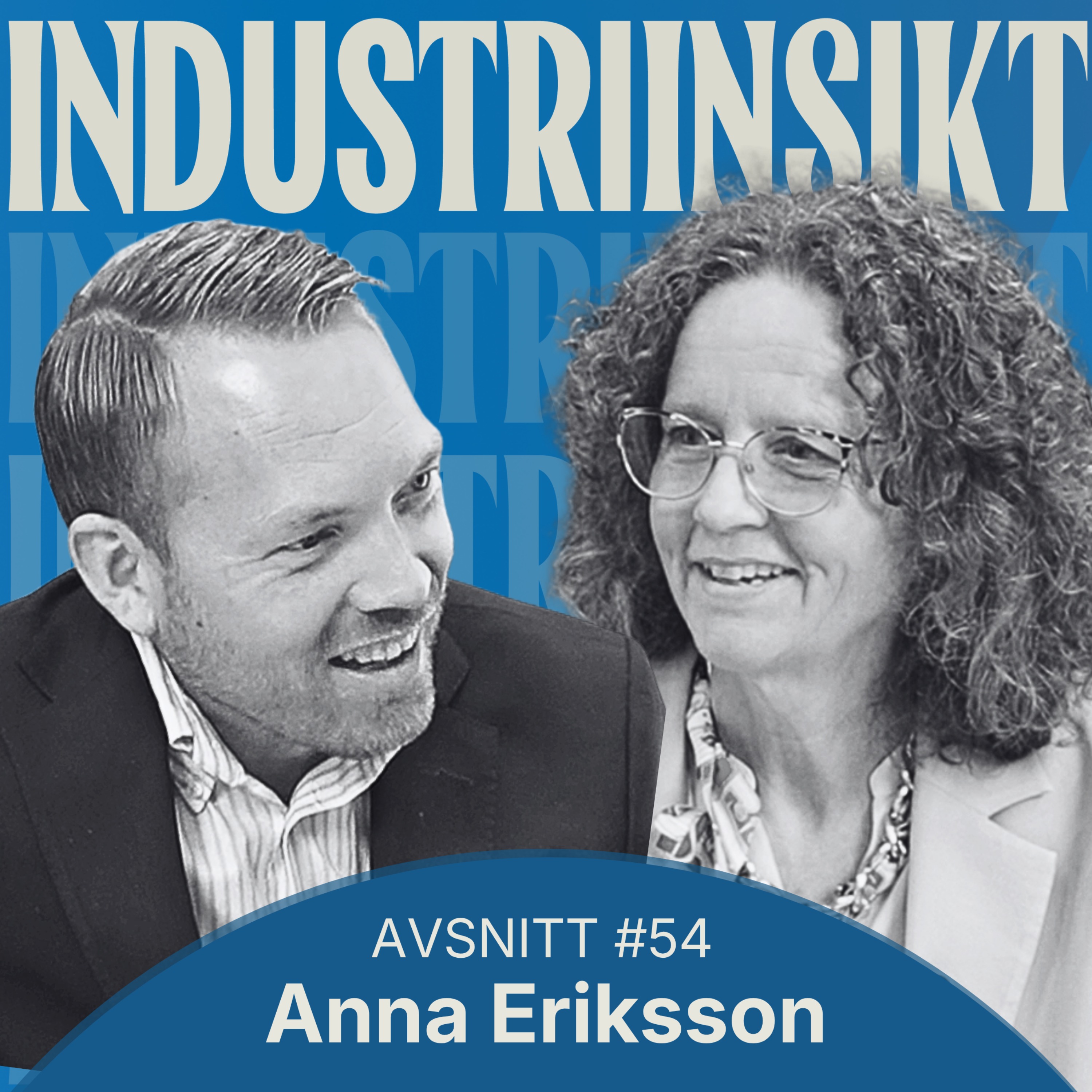 Nästa generations digitala Sverige: data, AI & ett nytt samhällskontrakt | Anna Eriksson  episode artwork