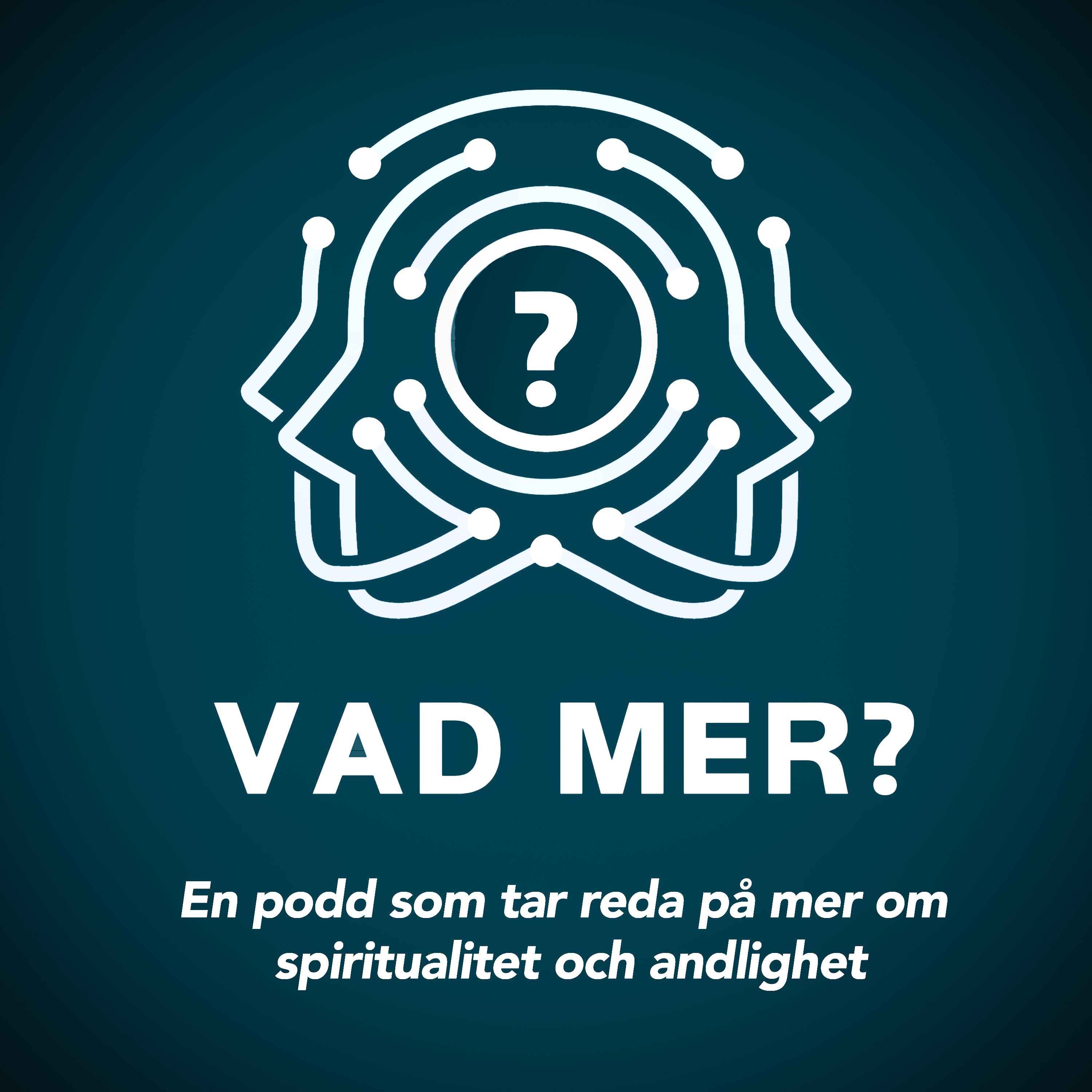 Vad Mer?