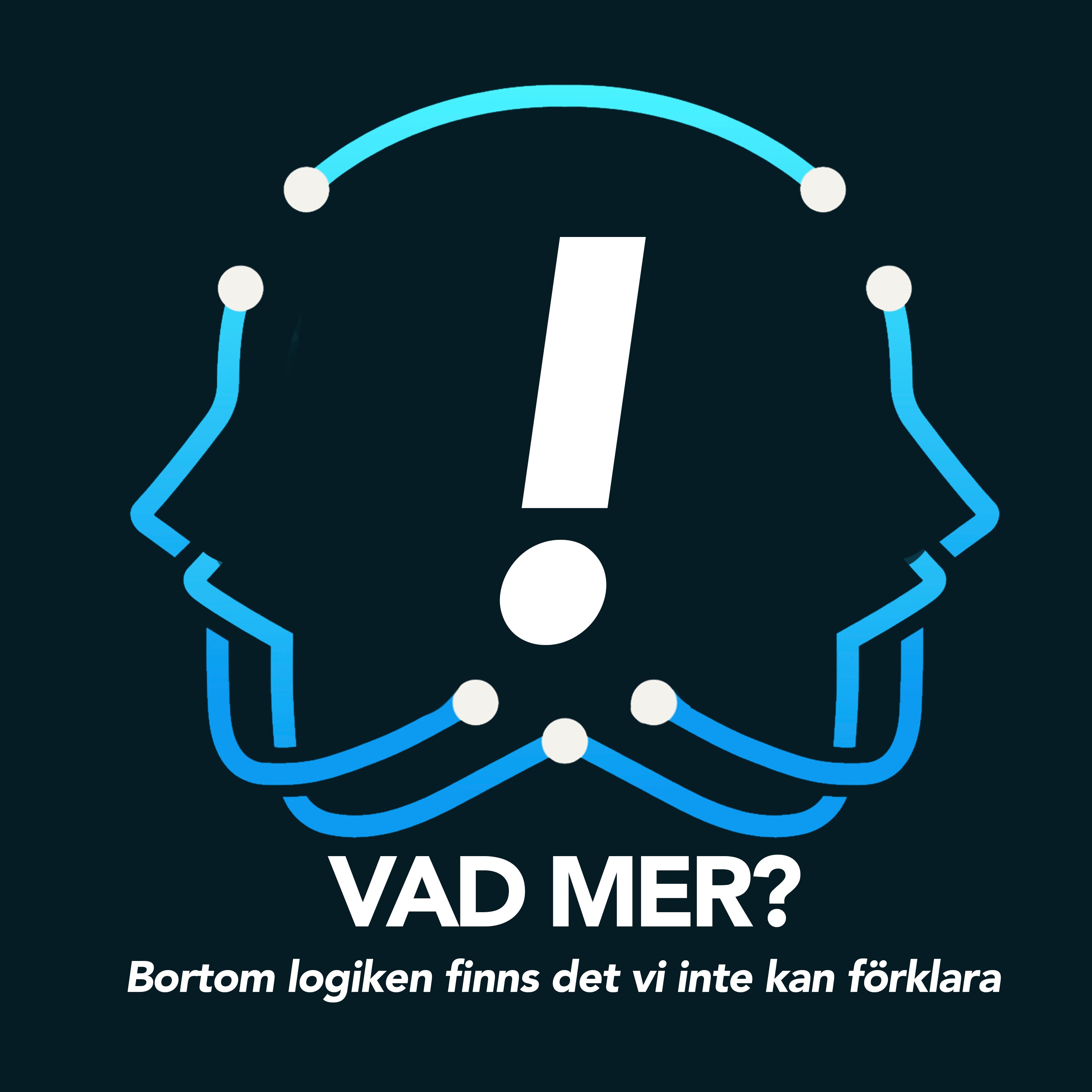 Reflektion: Bortom logiken finns det vi inte kan förklara