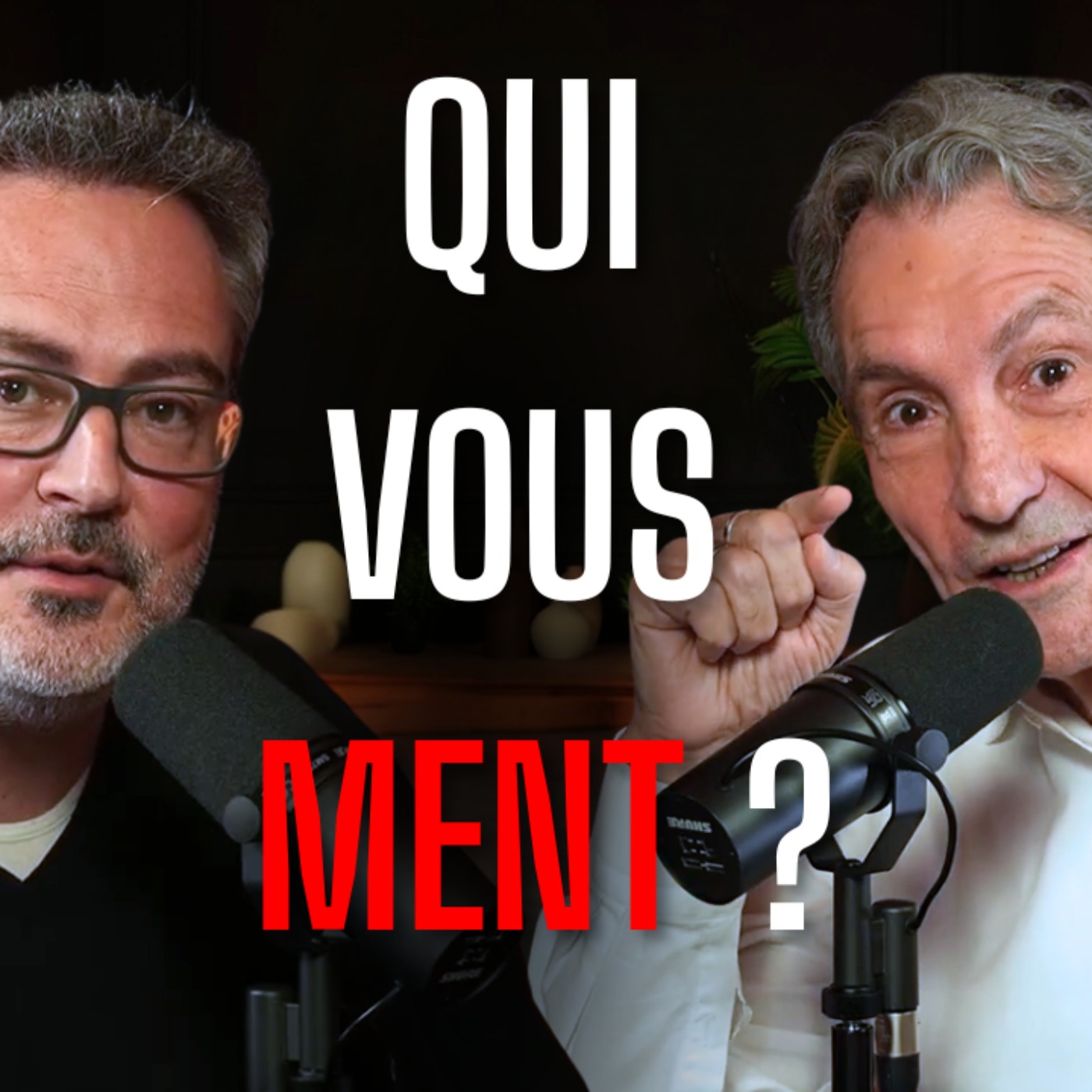 APPRENDRE A DETECTER LES MENTEURS