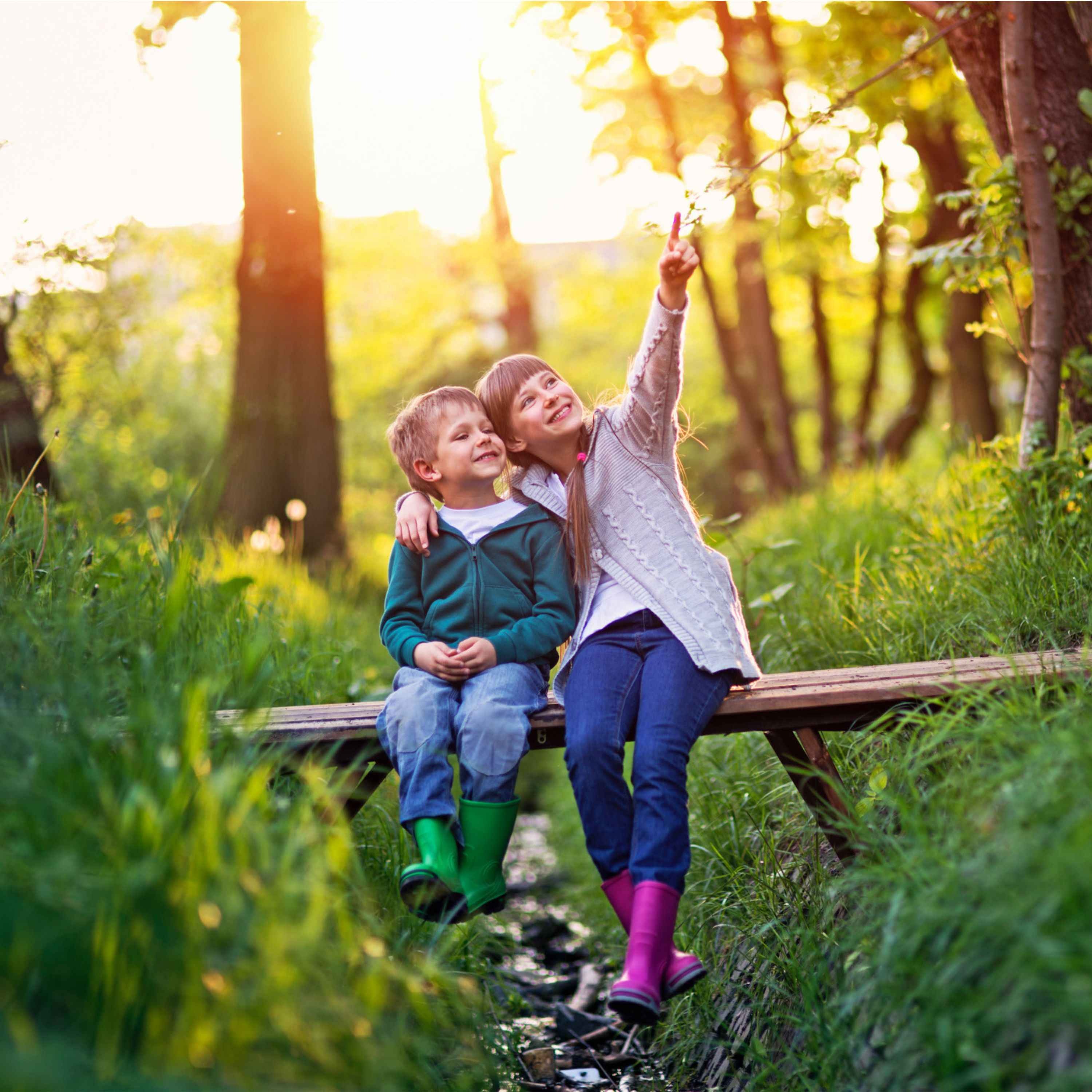 Treehouse Life HQ - A Life of Adventure