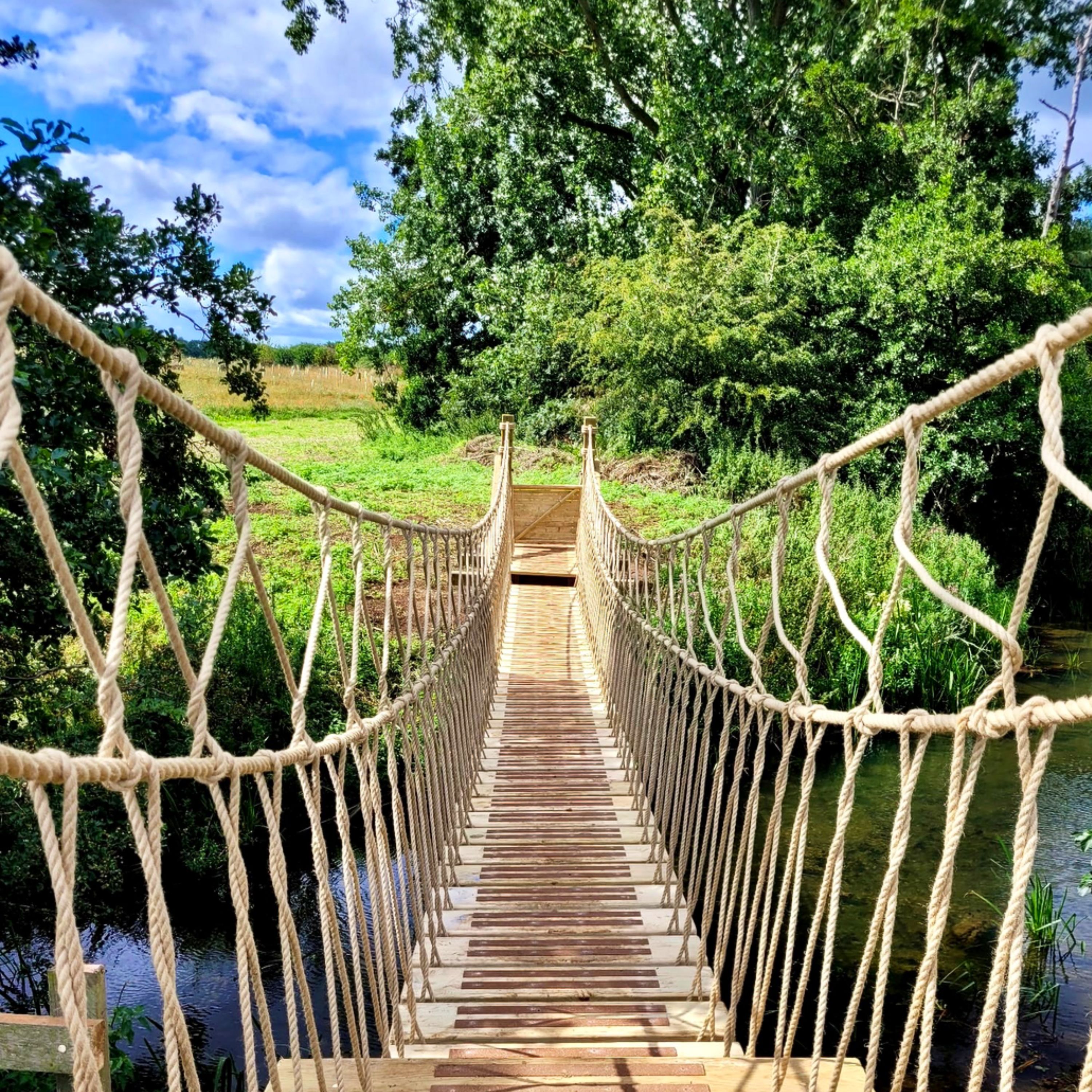 Treehouse Life HQ - A Life of Adventure