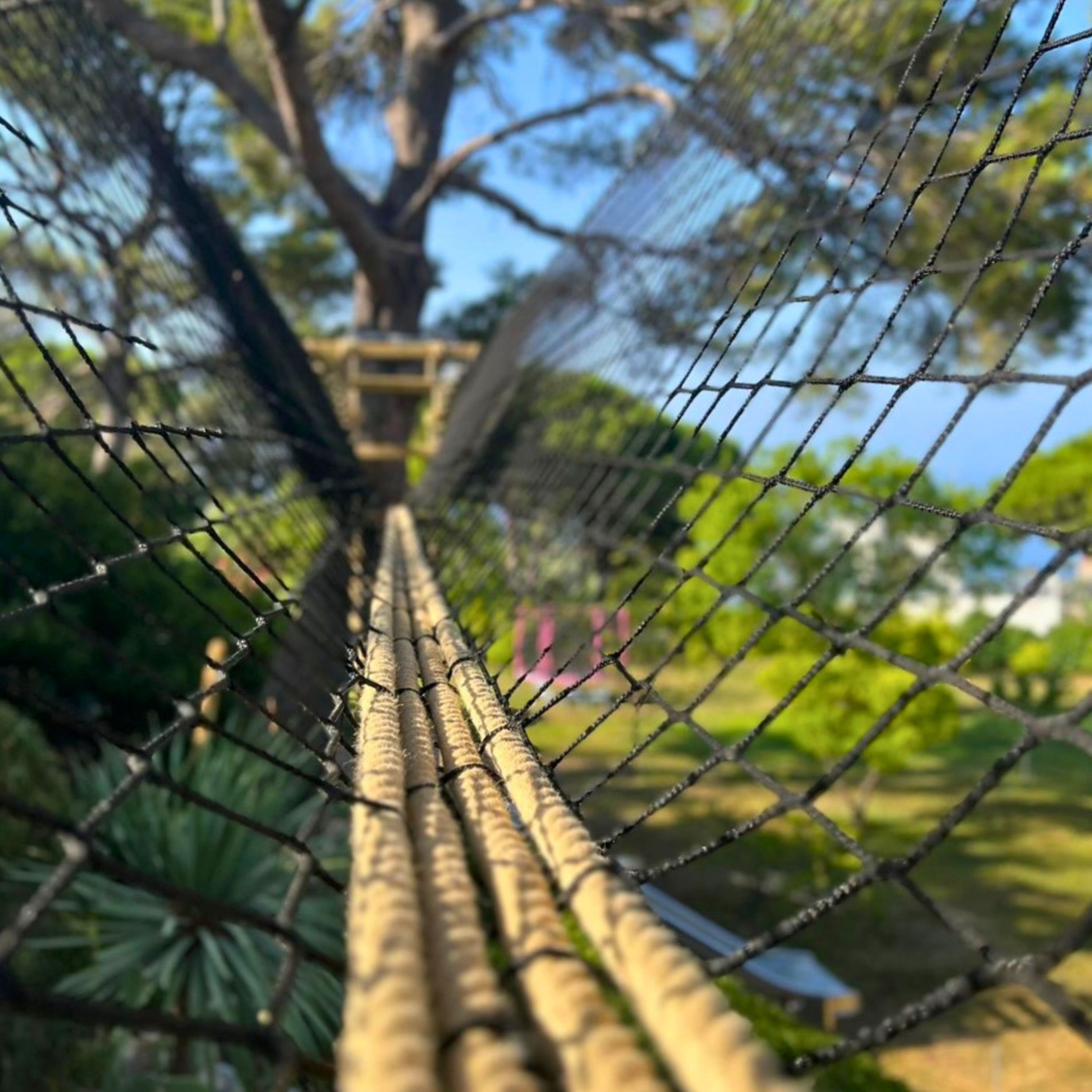 Treehouse Life HQ - A Life of Adventure