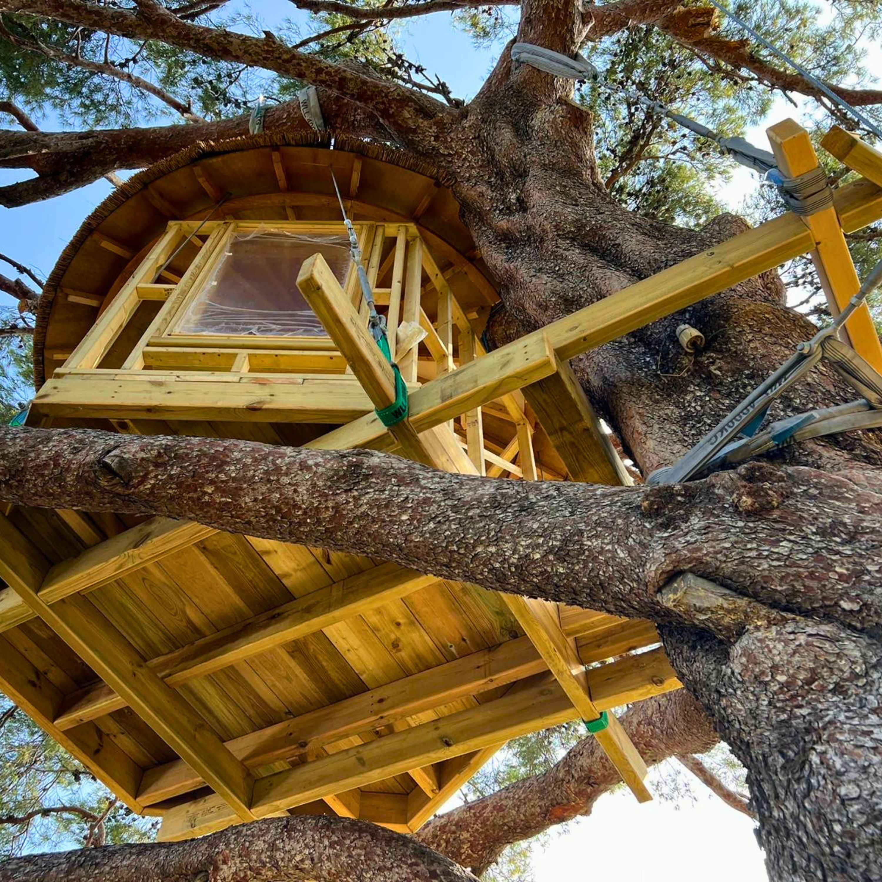 Treehouse Life HQ - A Life of Adventure