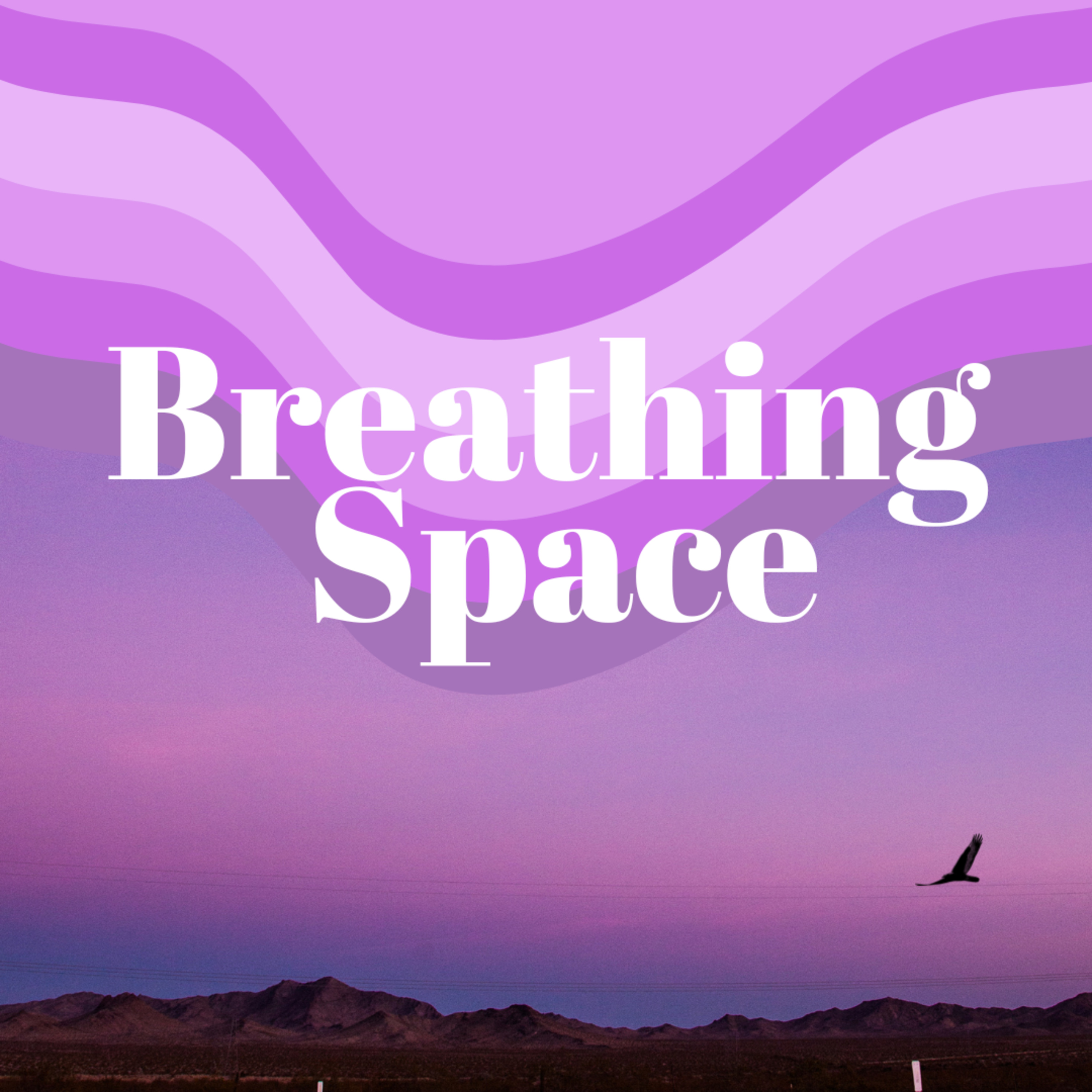 Sleep Affirmations for Rest and Relaxation episode artwork