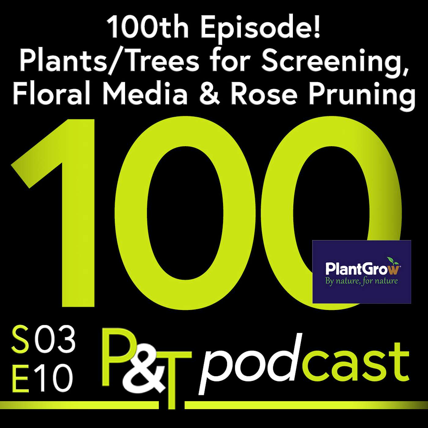 100th Episode! Reclaiming the Chrysanthemum, Dahlia Just from Seed & Screening Options? episode artwork