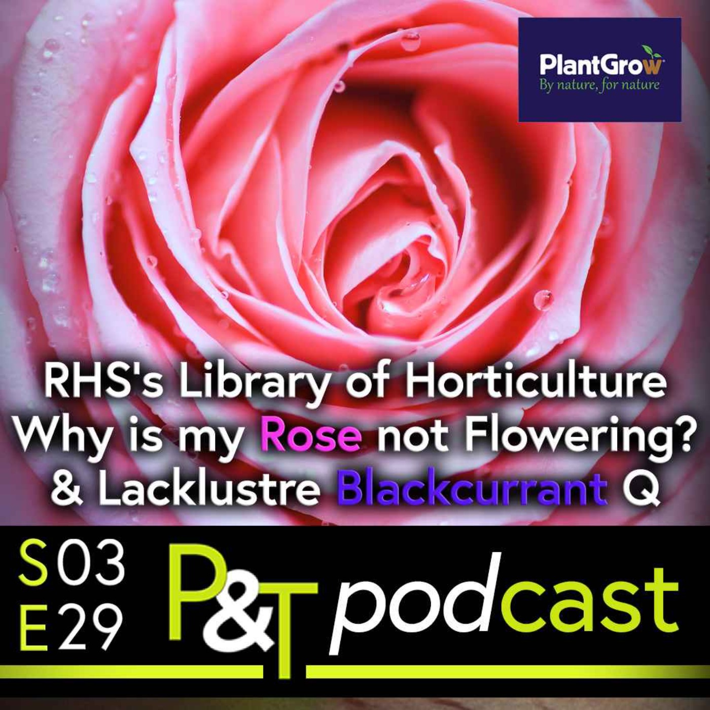 Pots & Trowels The Gardening Podcast