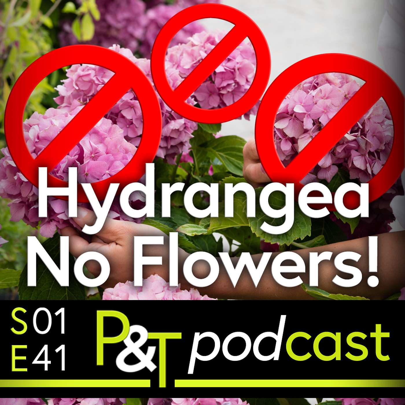 Pots & Trowels The Gardening Podcast