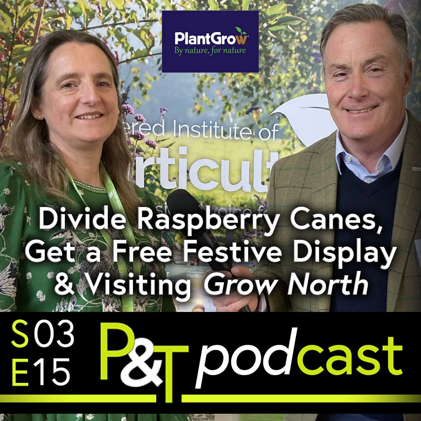 Free Festive Display, Divide Raspberry Canes & Meet Helena of the Chartered Institute of Horticulture at Grow North episode artwork