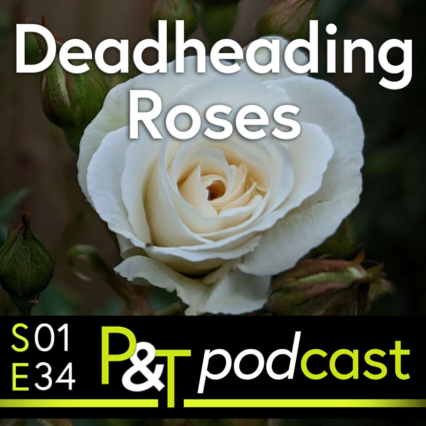 Pots & Trowels The Gardening Podcast