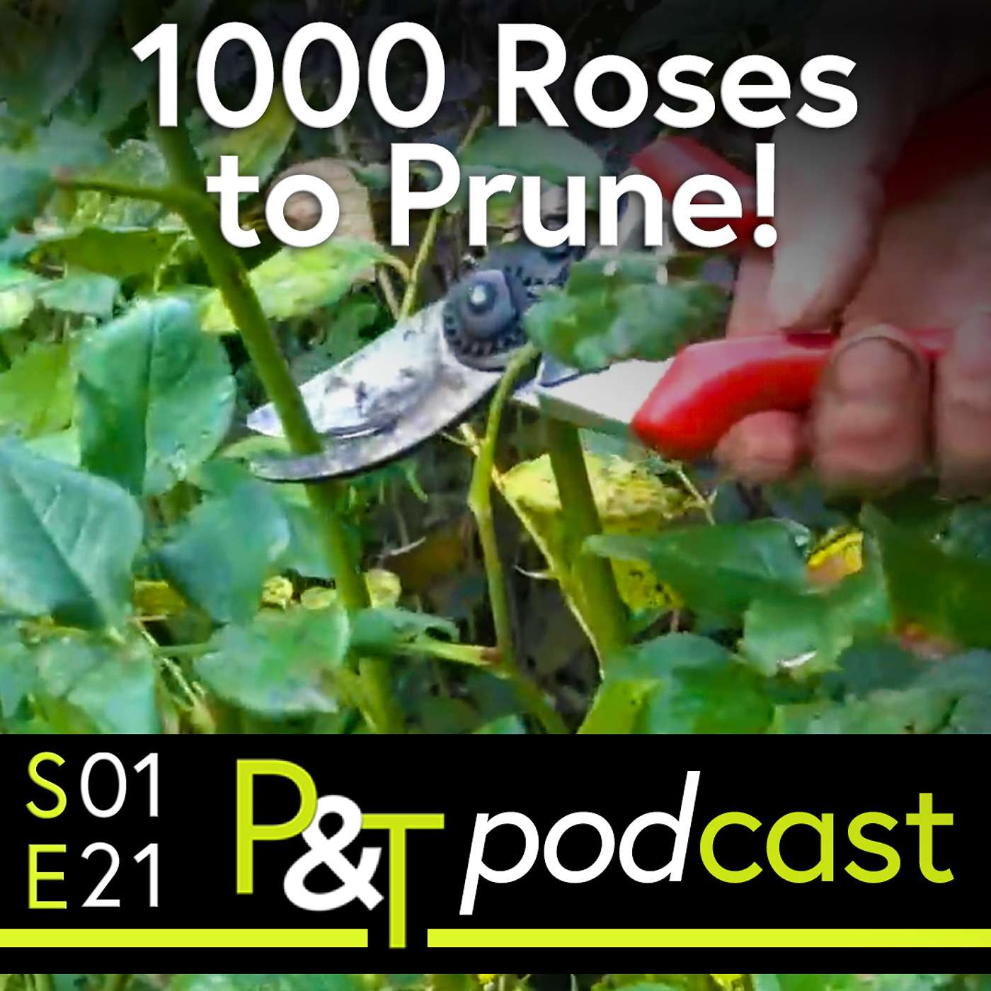 Pots & Trowels The Gardening Podcast