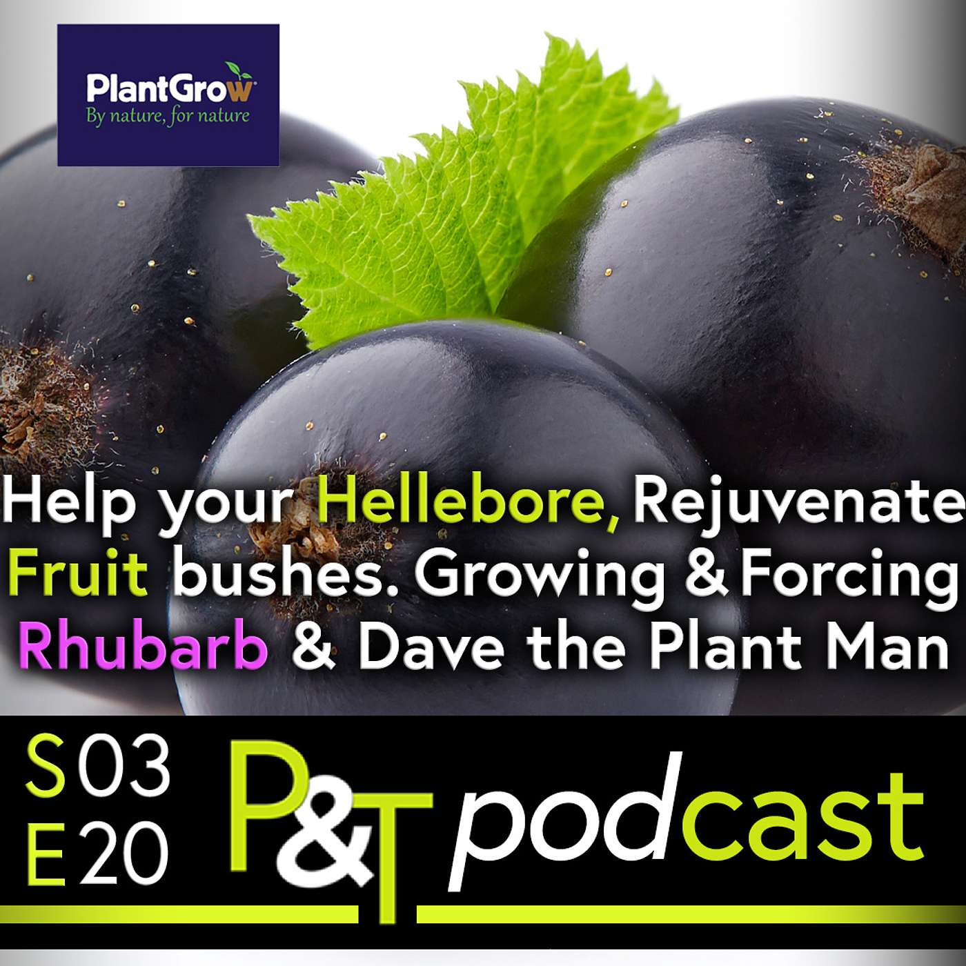 Pots & Trowels The Gardening Podcast
