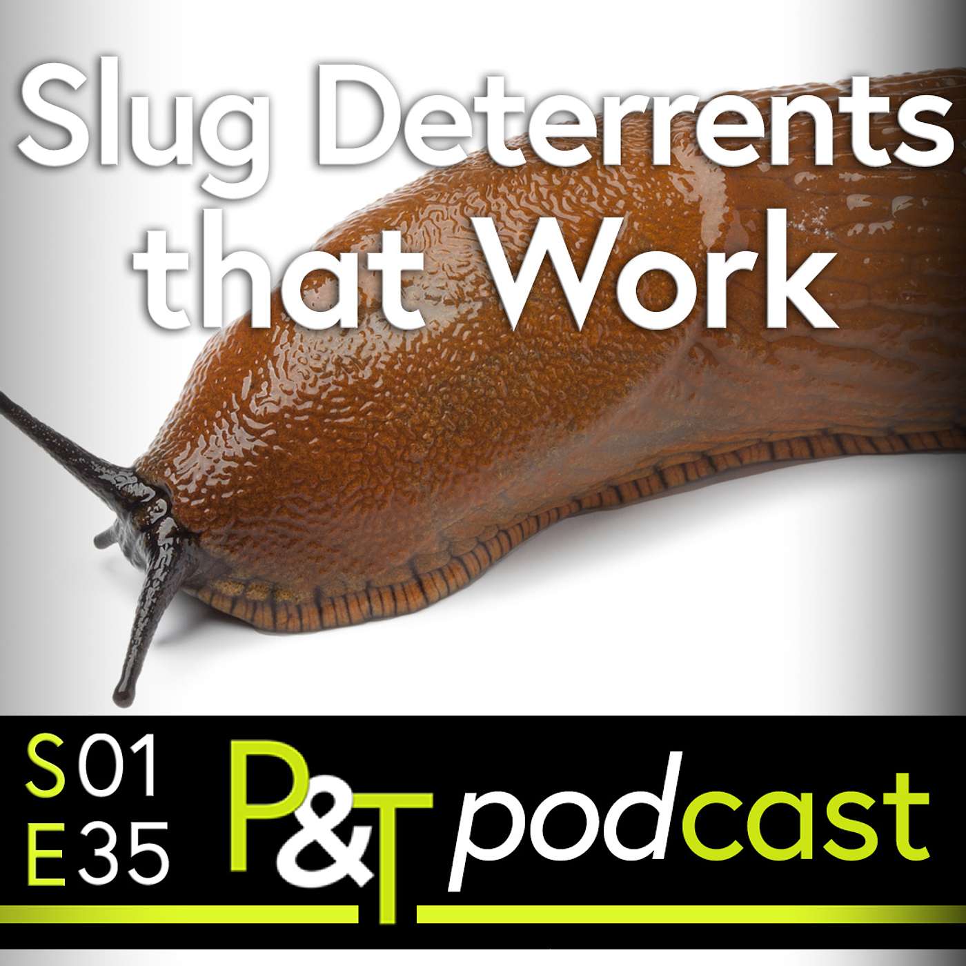 Pots & Trowels The Gardening Podcast