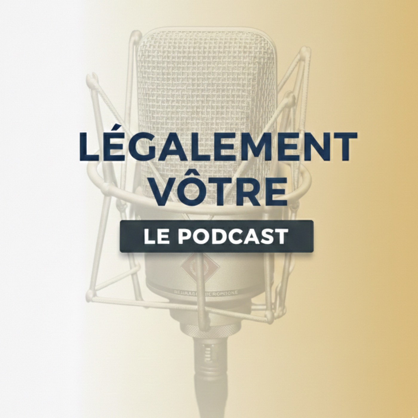 Légalement vôtre cover art