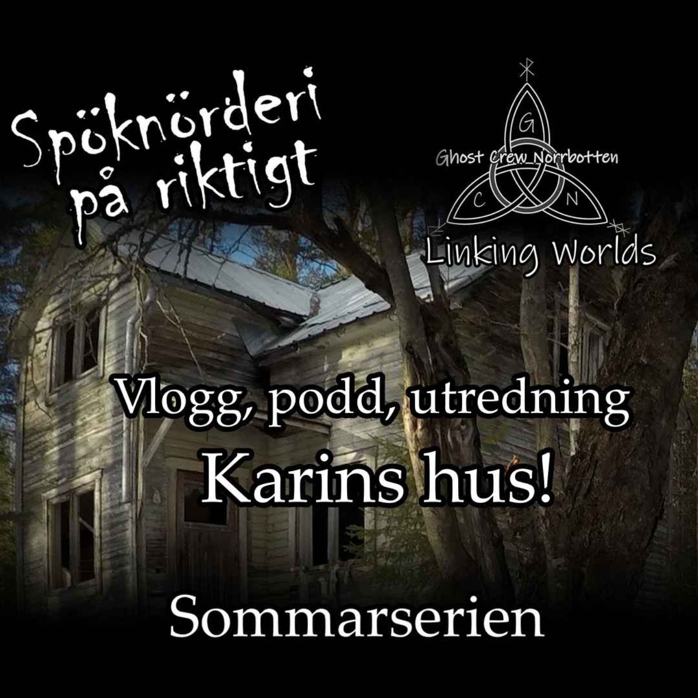 Vlogg, podd, utredning - Karins hus - Sommarserien episode artwork