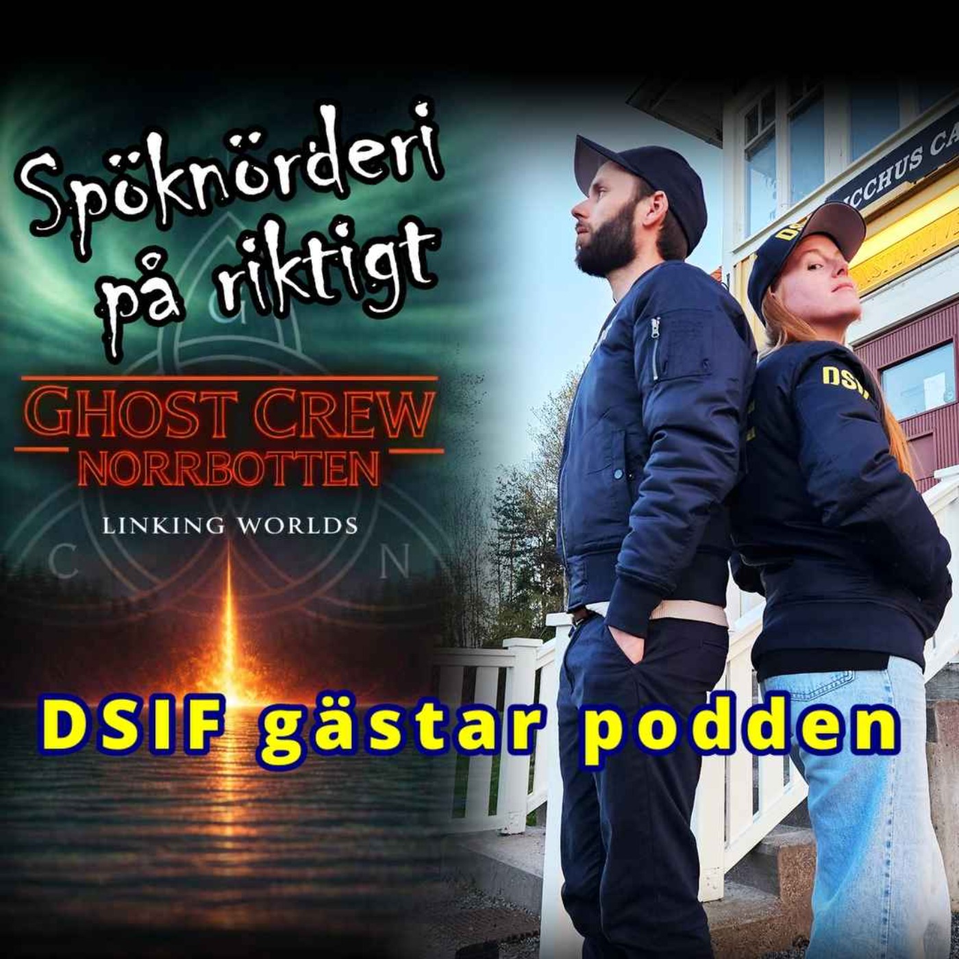 DSIF gästar podden - Föreningen för det som inte finns. episode artwork