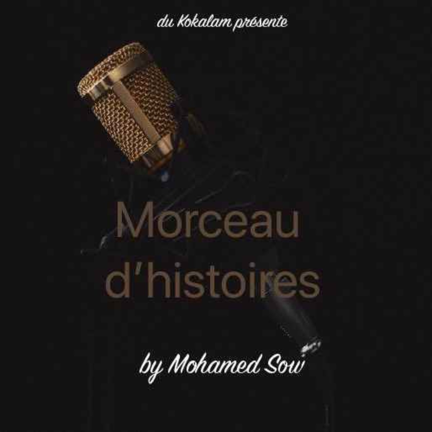 Morceau d'histoires cover art