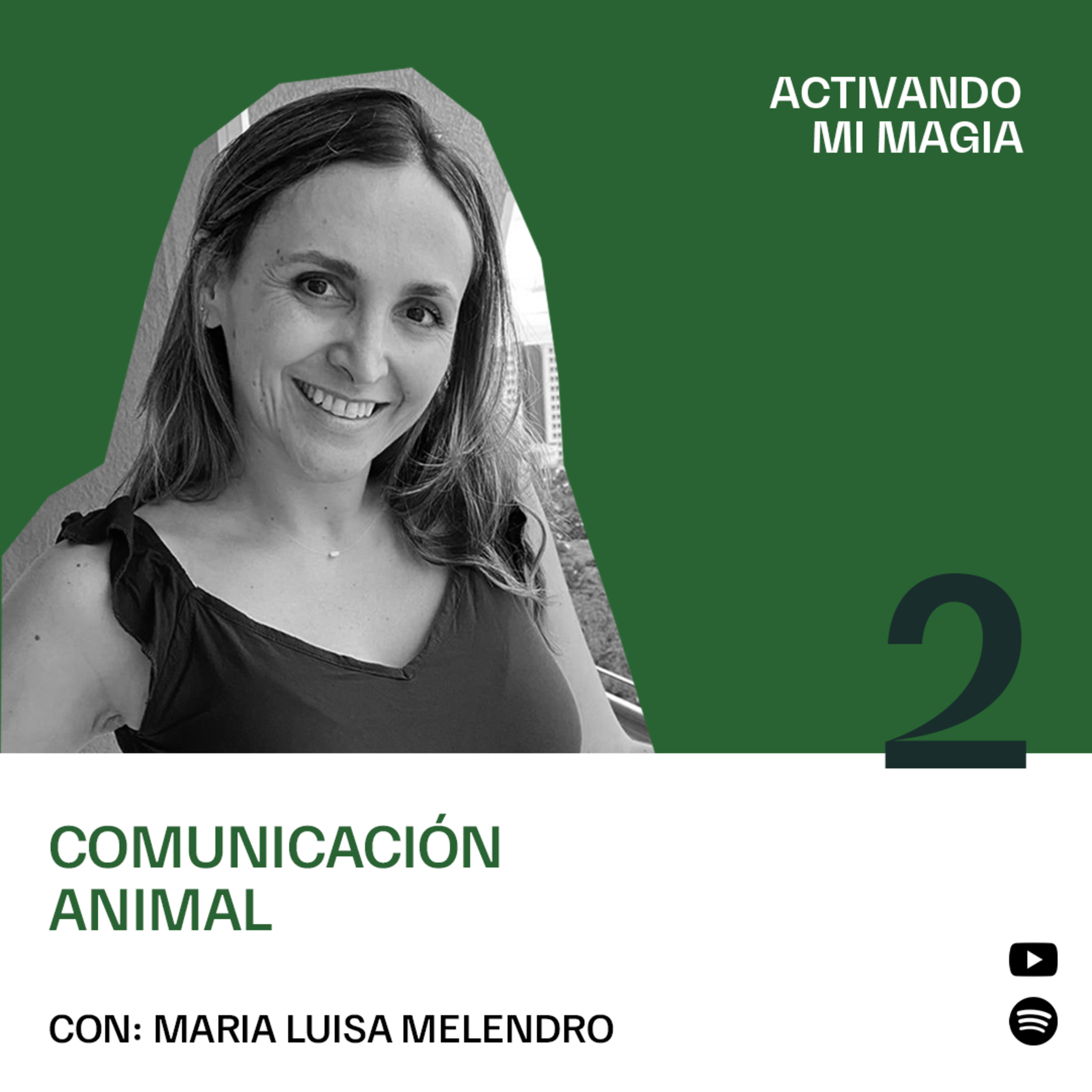Portada de Activando mi Magia