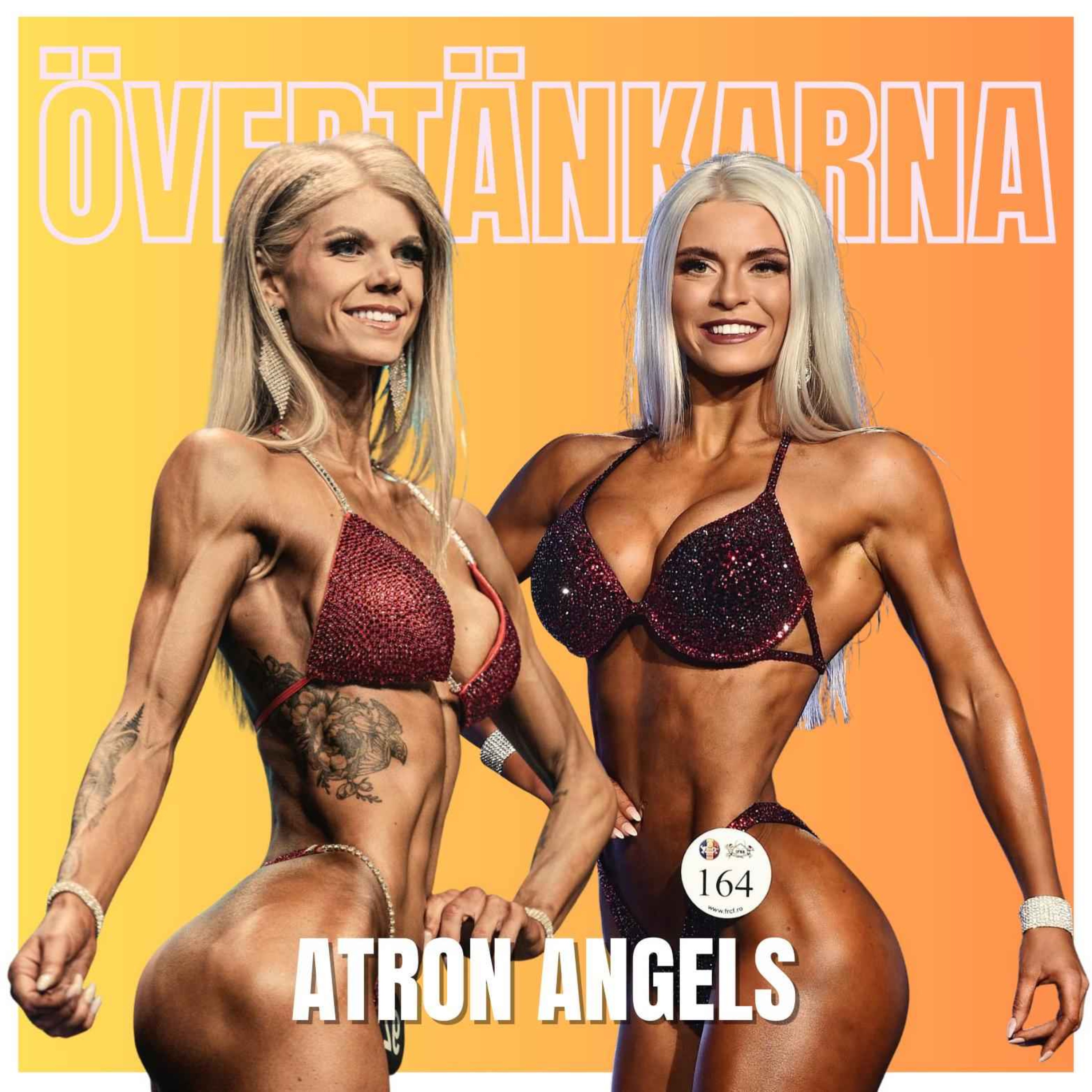 Övertänkarna cover art