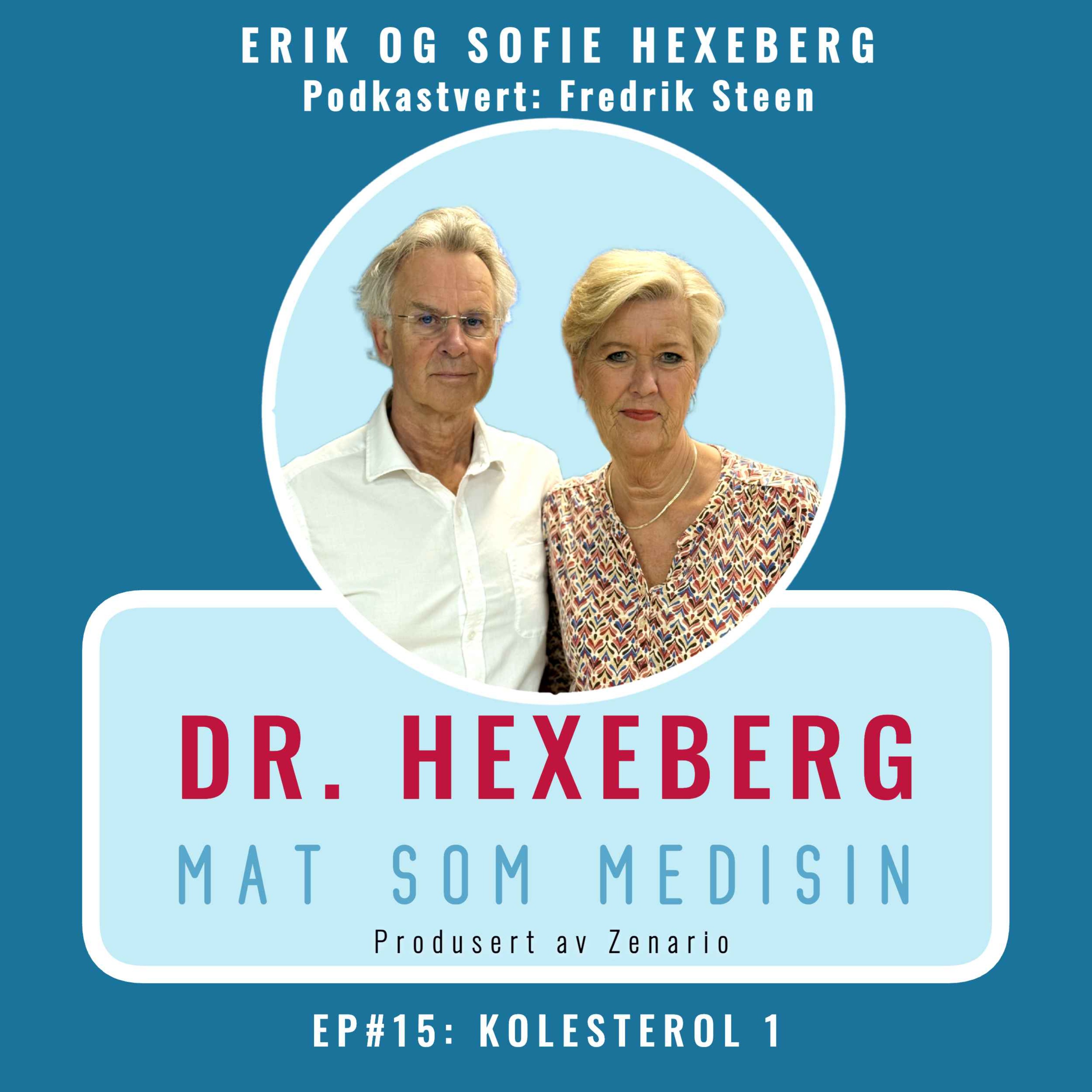 #15: Kolesterol 1