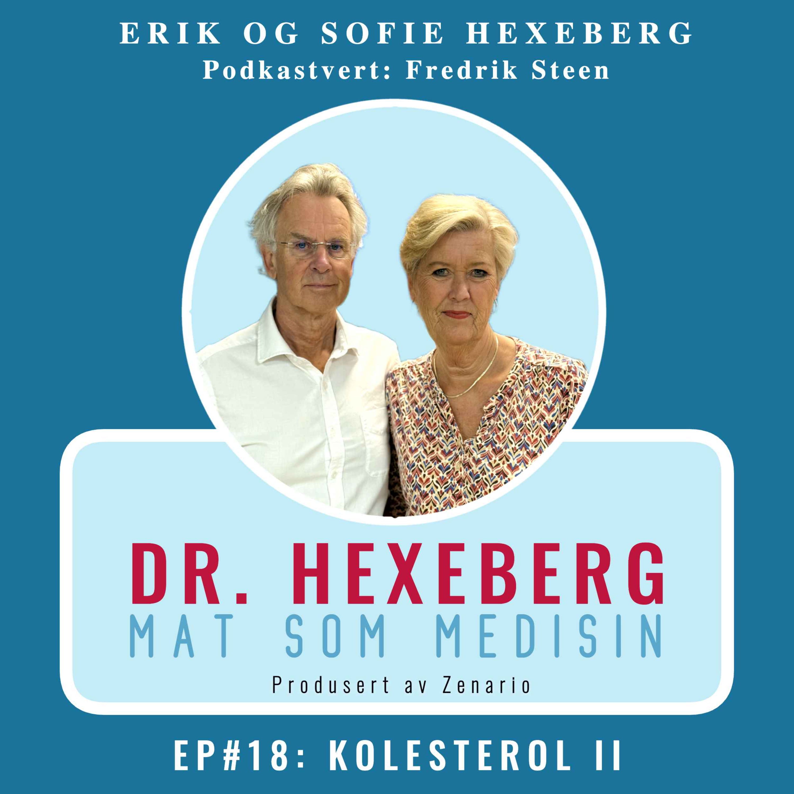 #18: KOLESTEROL II