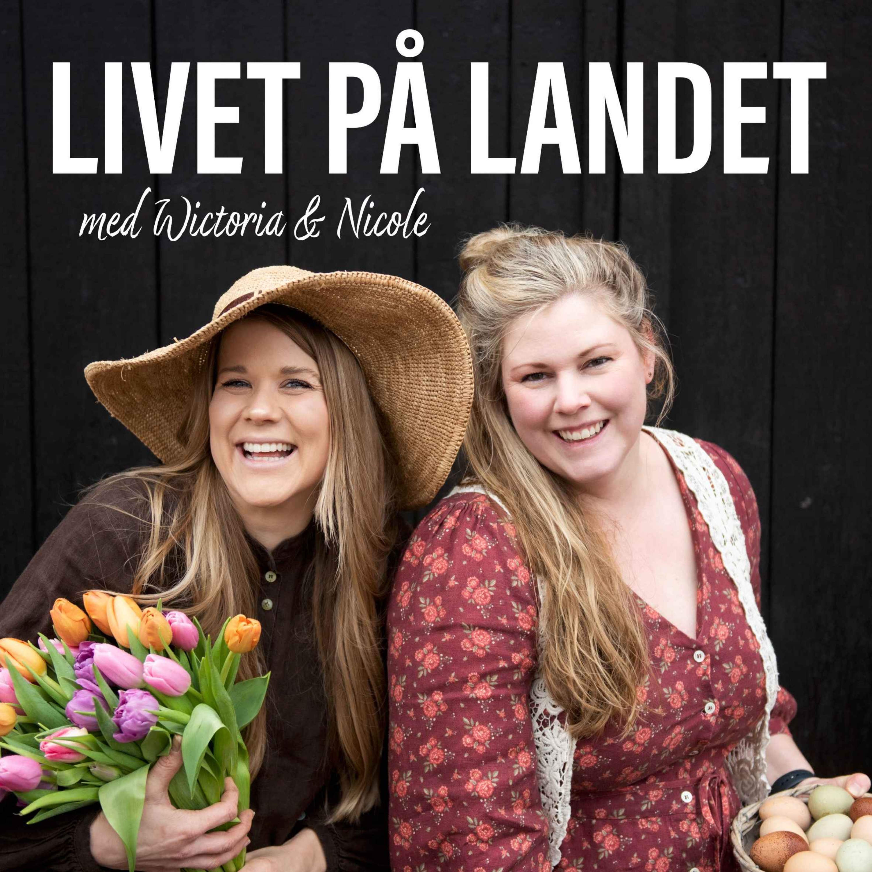 Avsnitt 25 - Grödor du kan så i trädgården nu i underbara Augusti episode artwork