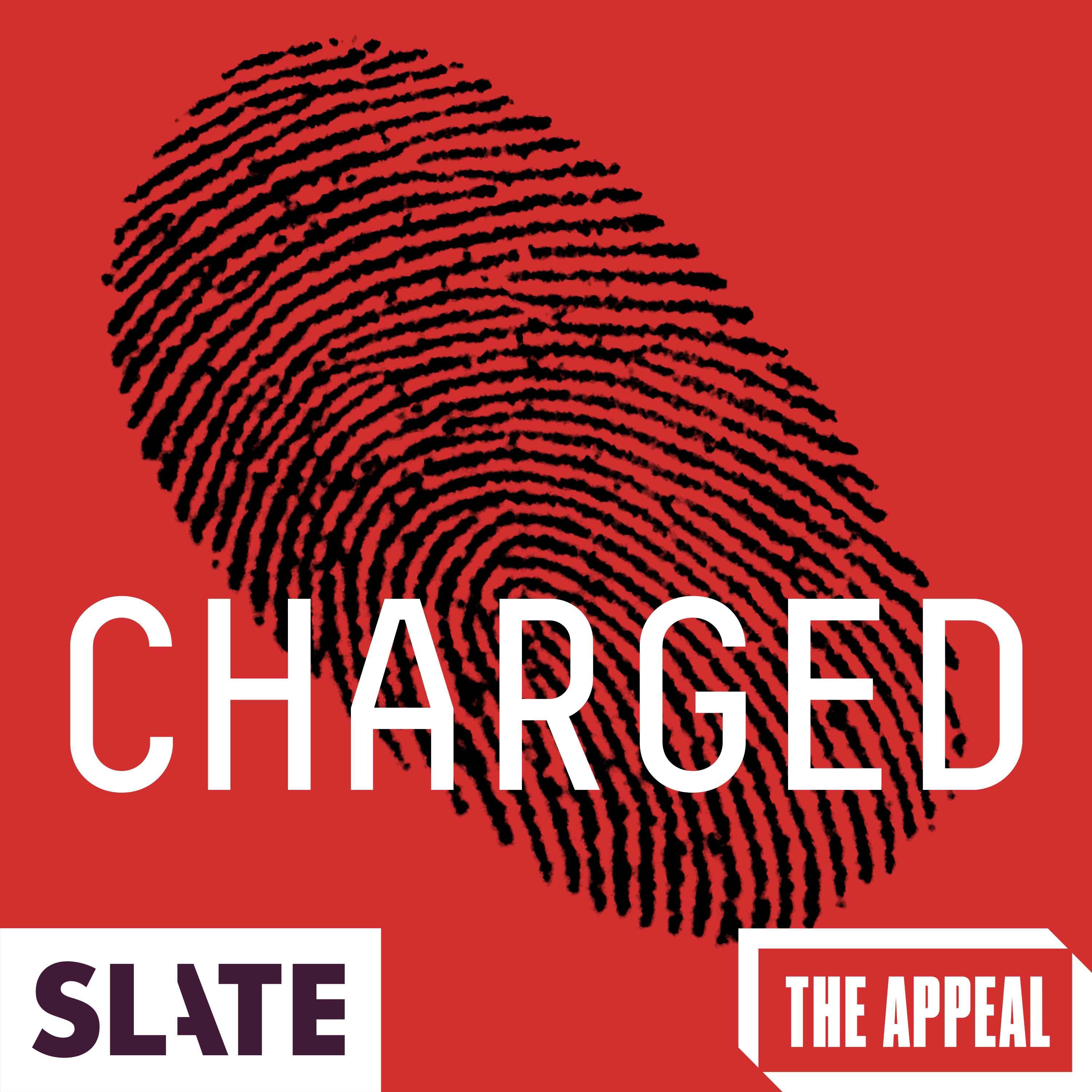 Charged: A True Punishment Story