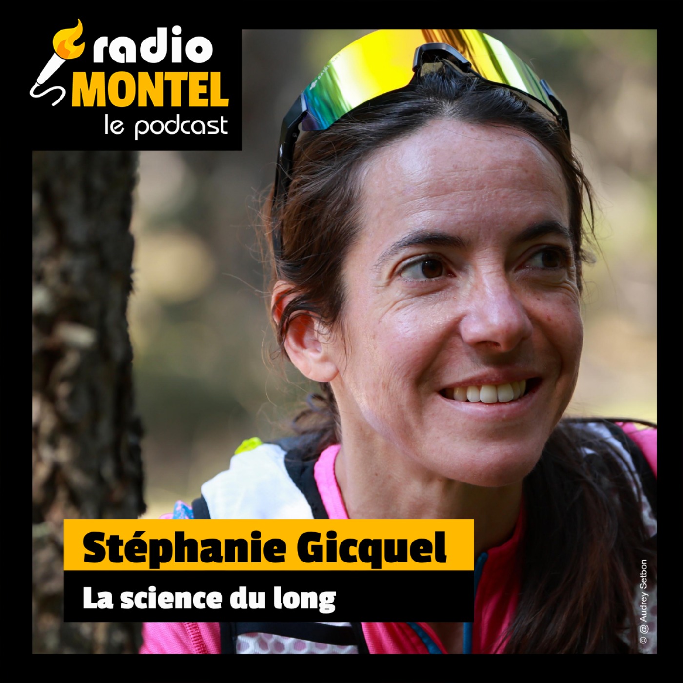 Stéphanie Gicquel - La science du long episode artwork