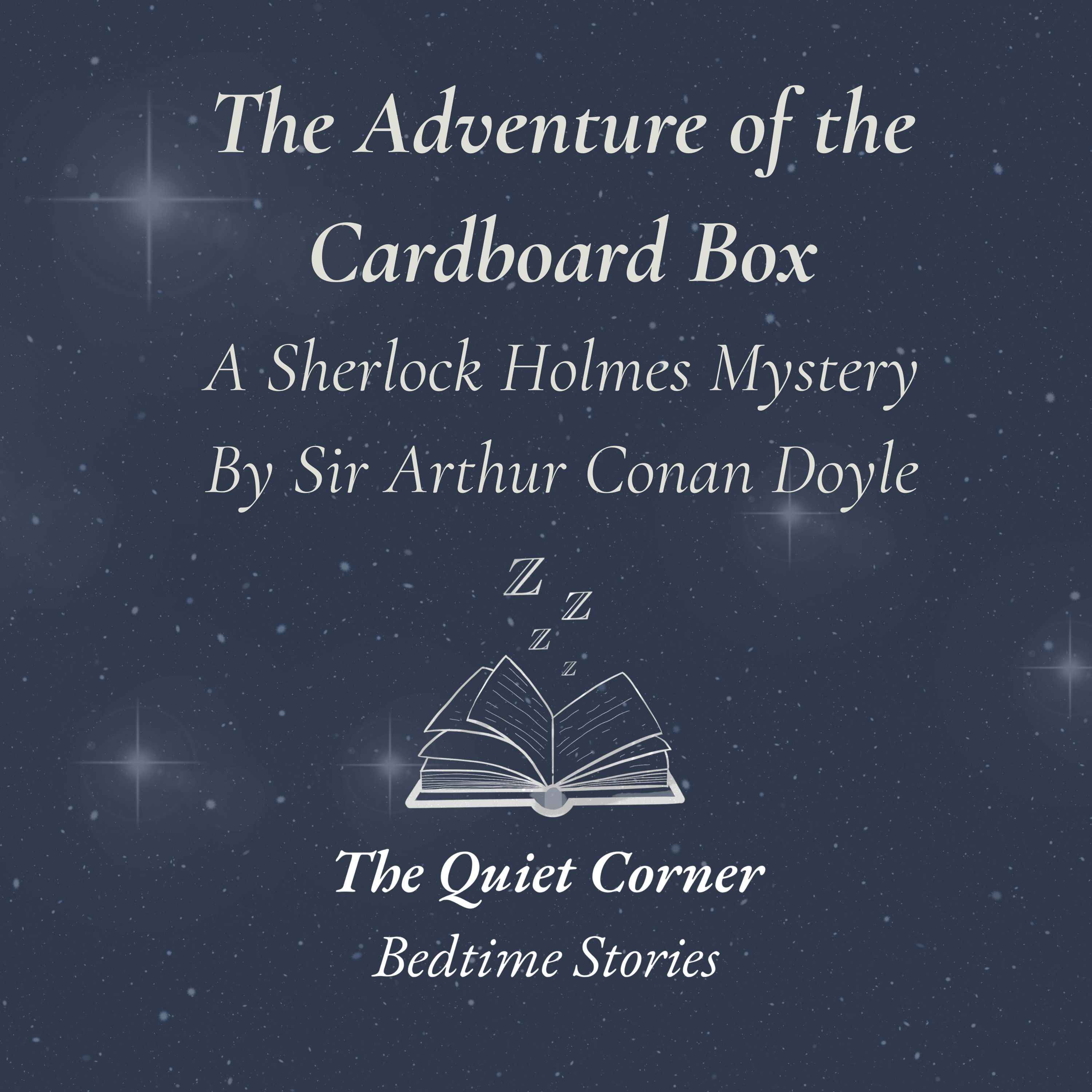 The Adventure of the Cardboard Box episode artwork