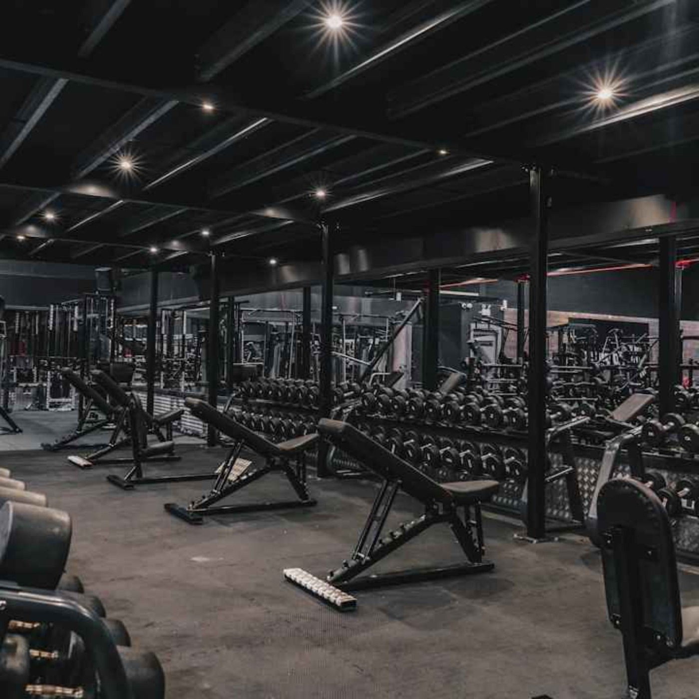 Gen Z is paying $300 to make friends at the gym / Time can go negative, apparently / The single parent happiness gap episode artwork