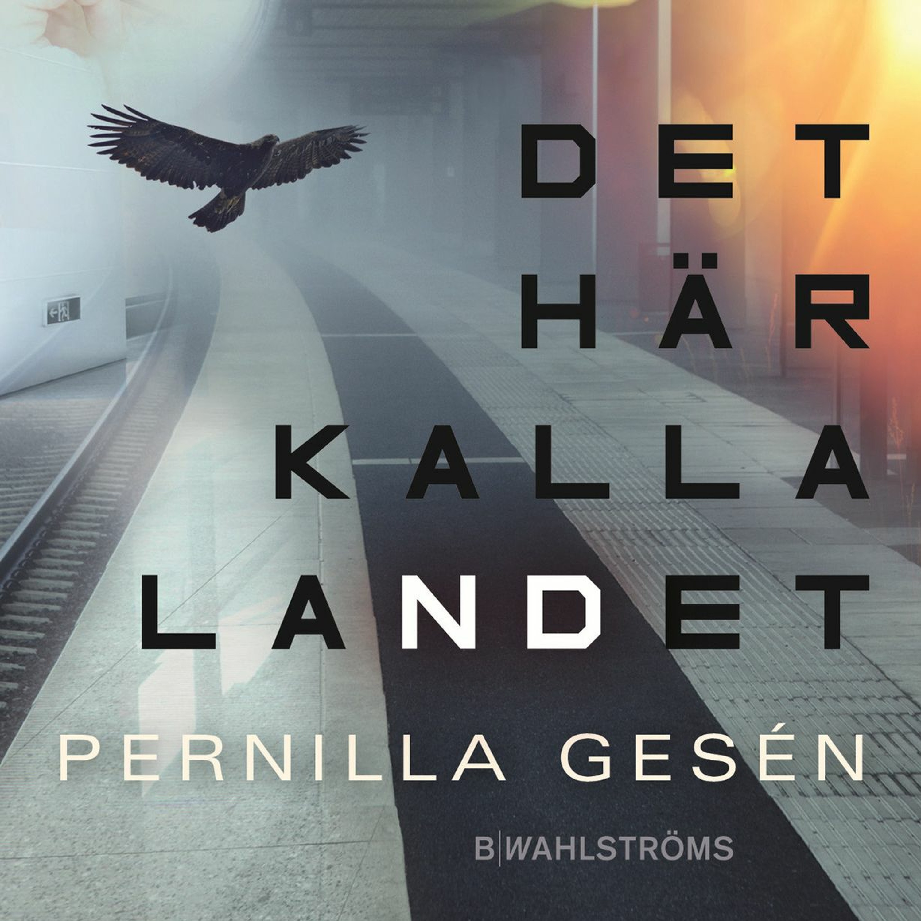 #136: Asylpolitikk i ungdomslitteraturen (fra NBBK2019) episode artwork
