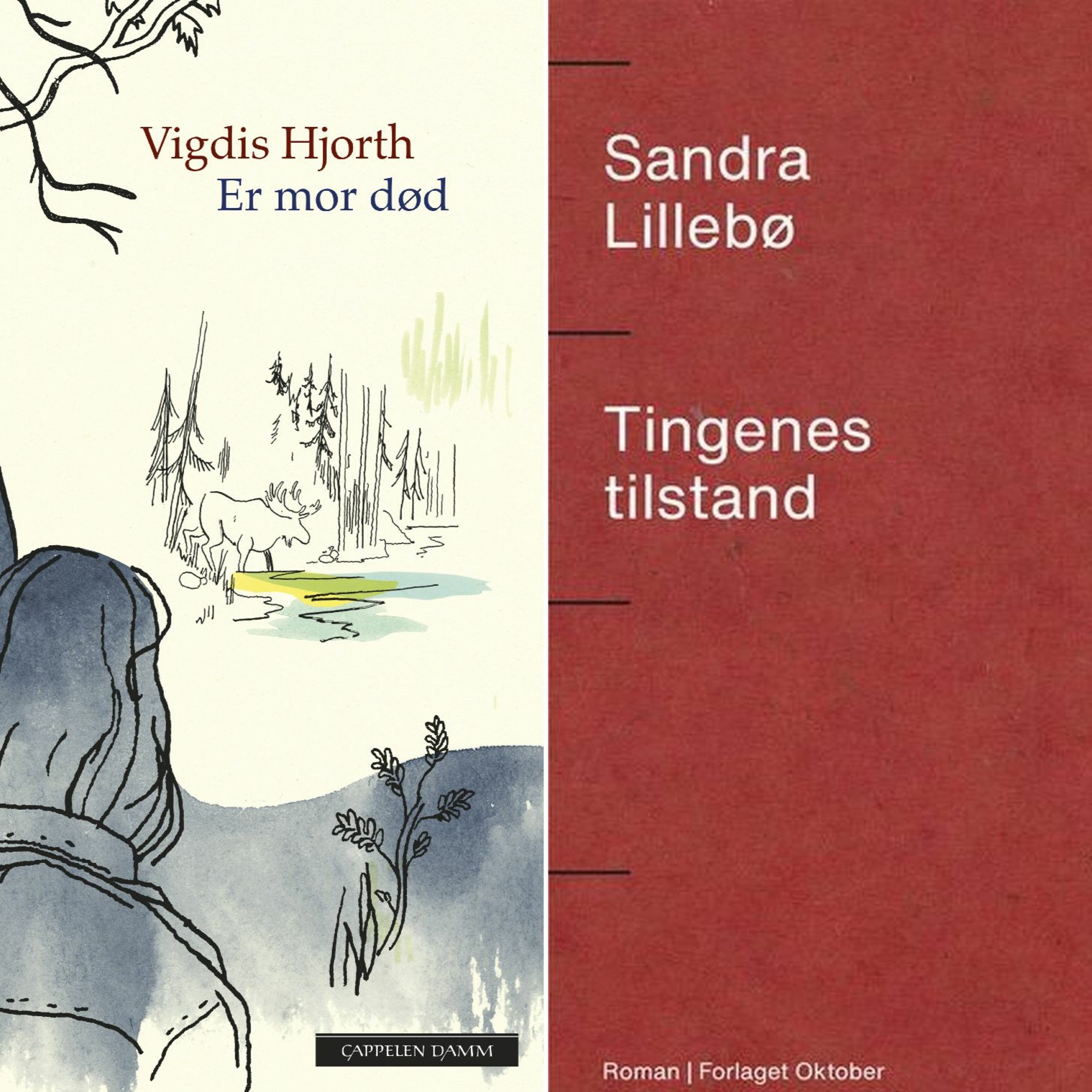 #213: Vigdis Hjorth og Sandra Lillebø (fra Kapittel20) episode artwork