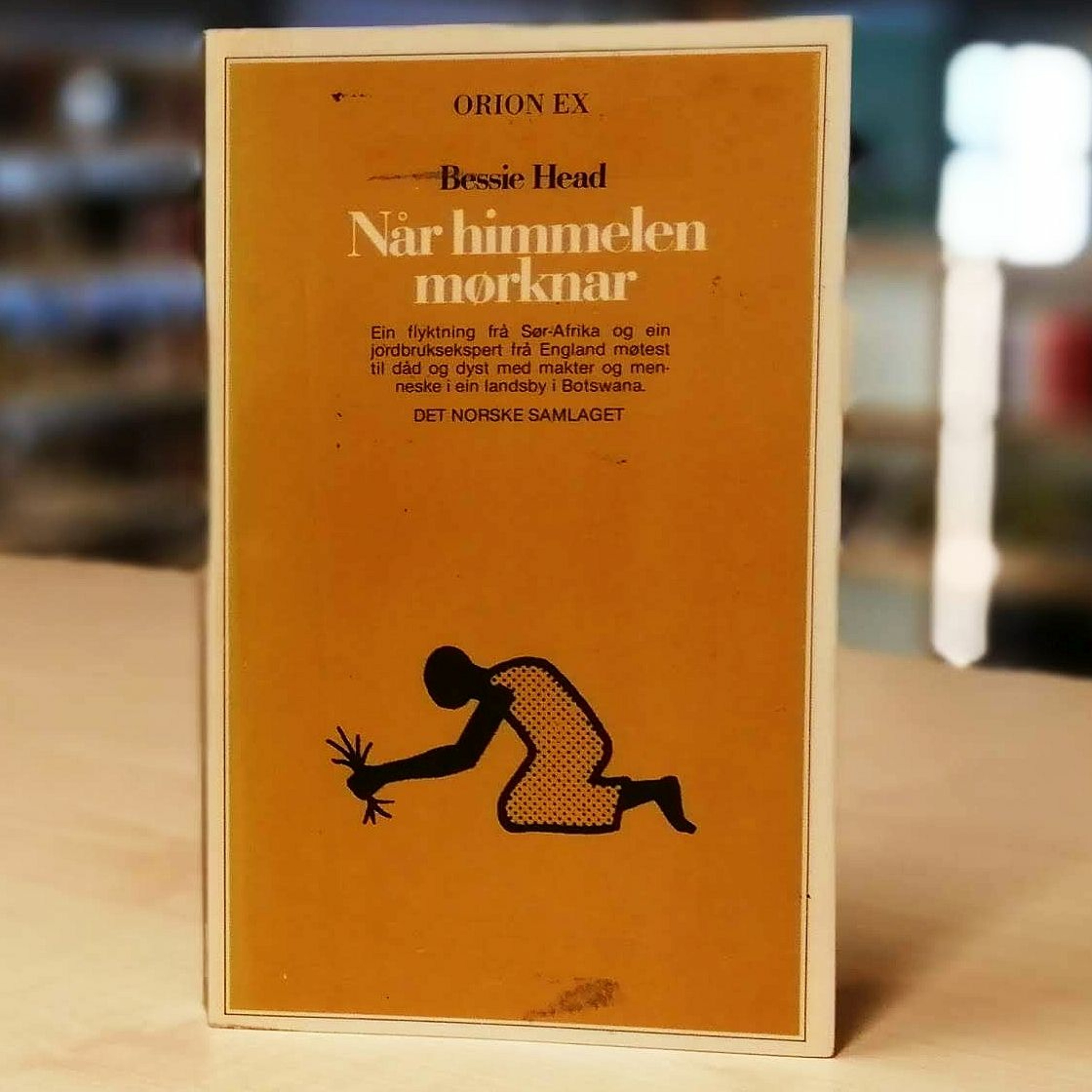 Klassikeren: Når himmelen mørknar av Bessie Head episode artwork