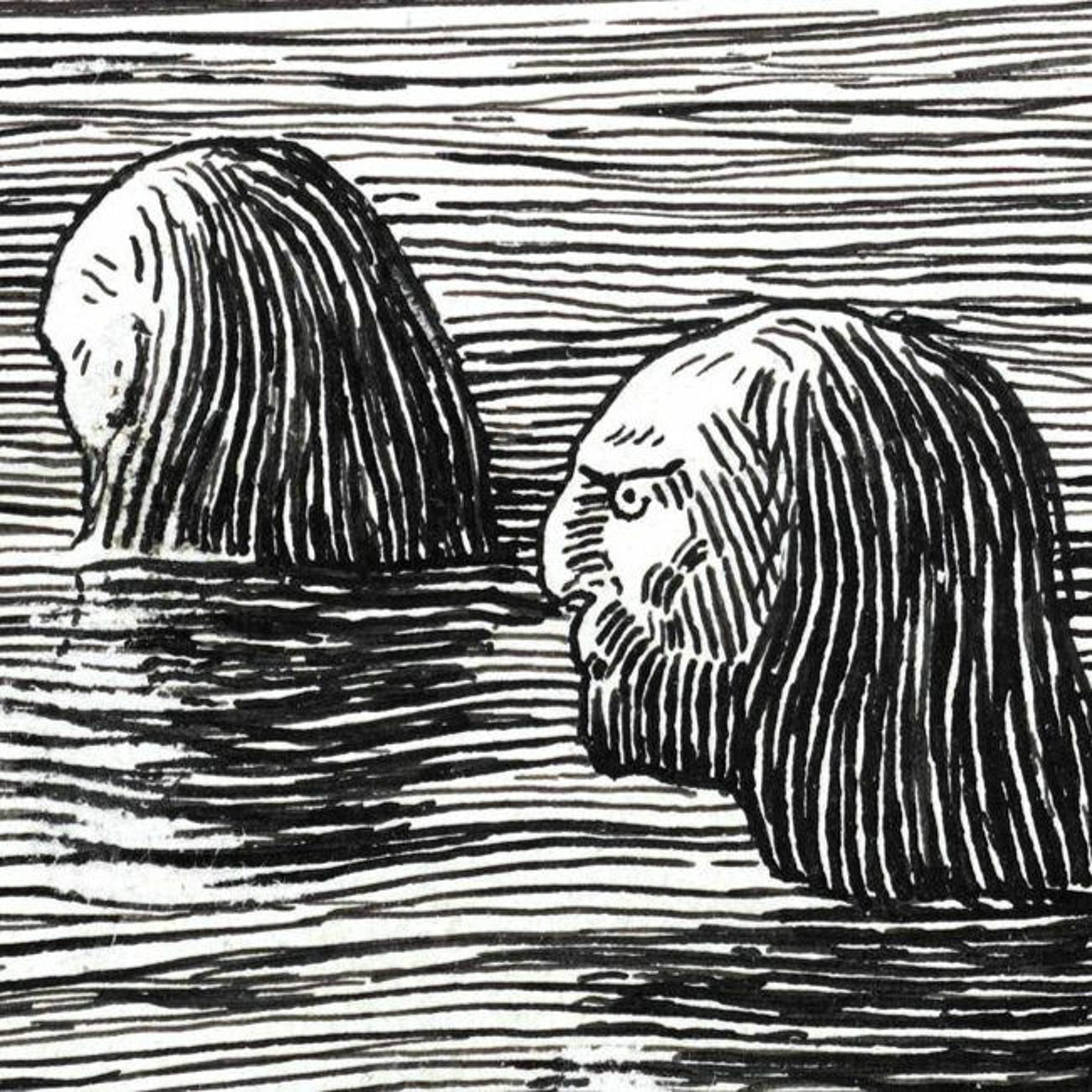 #284: Sagalitteraturen som virkelighetslitteratur episode artwork