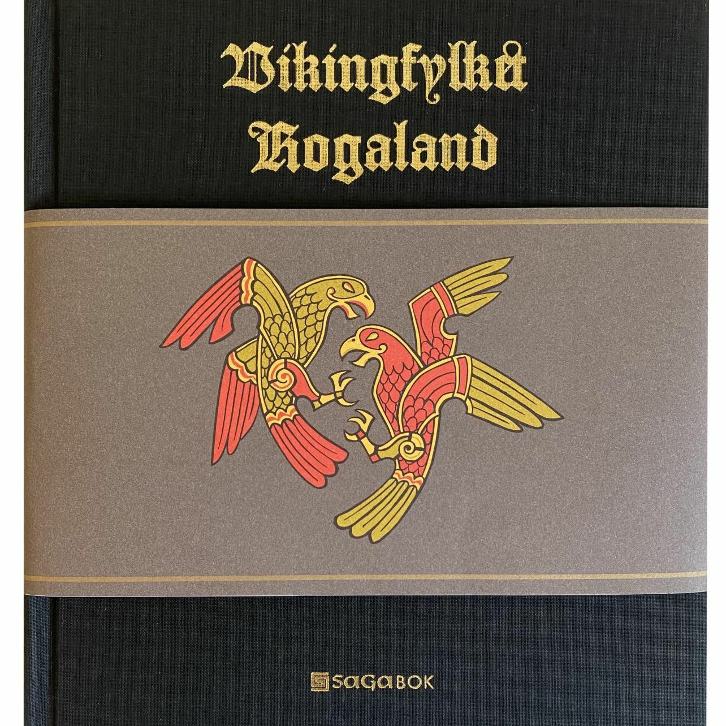#273: Ny bok om vikingfylket Rogaland episode artwork