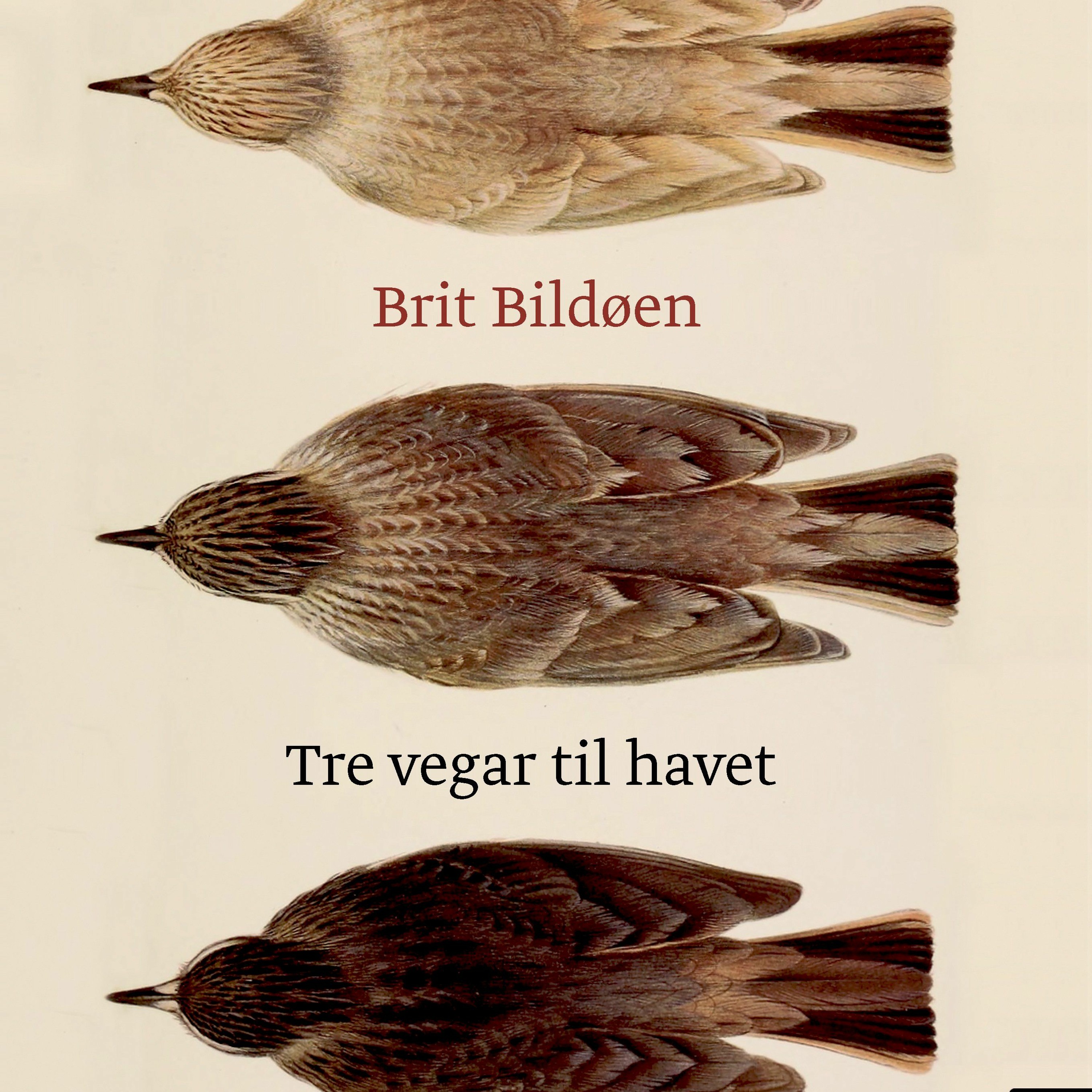 #134: Om Einar O. Risa, Brit Bildøen, Trude Marstein, Gunnhild Øyehaug m.m. episode artwork