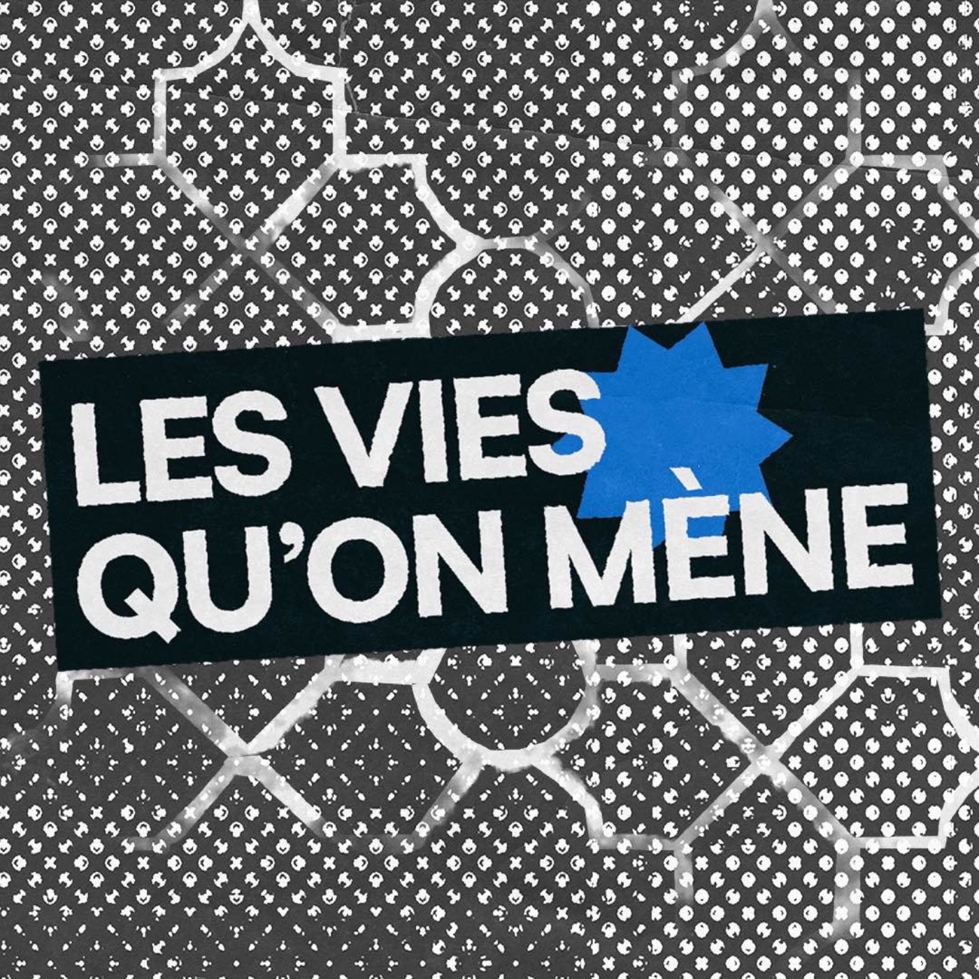 Les vies qu'on mène