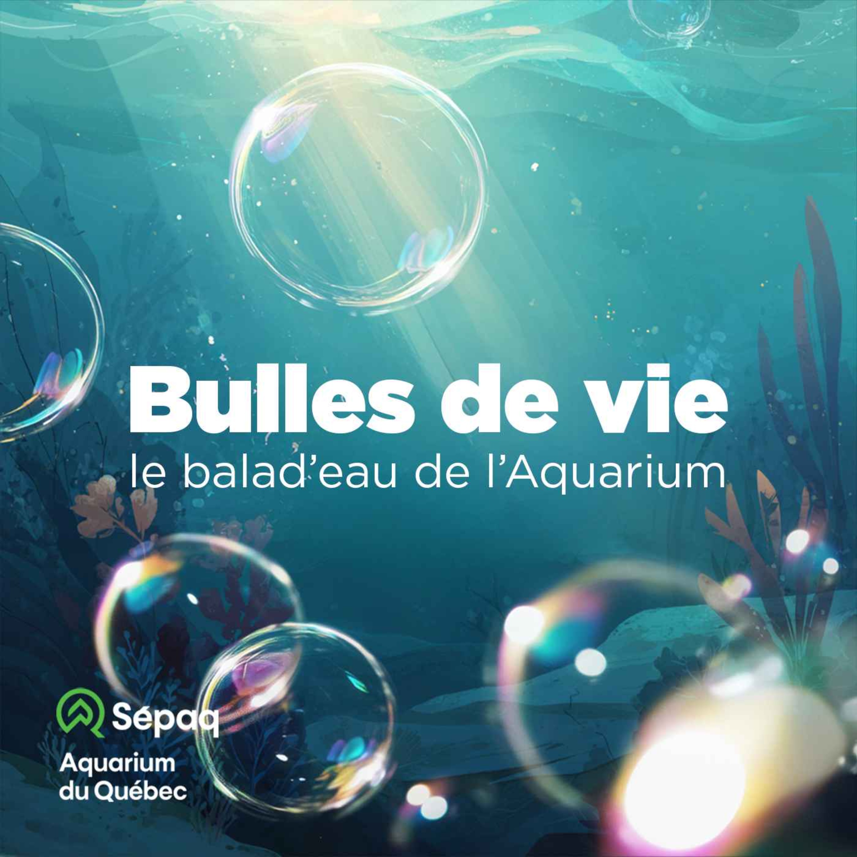 Bande-annonce Bulles de vie episode artwork