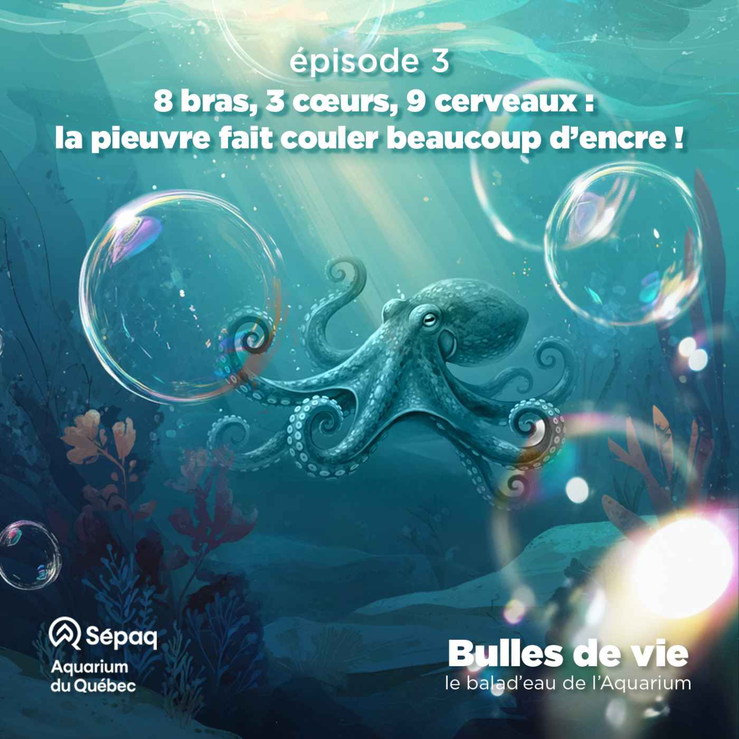 Bulles de vie : le balad\'eau de l\'Aquarium