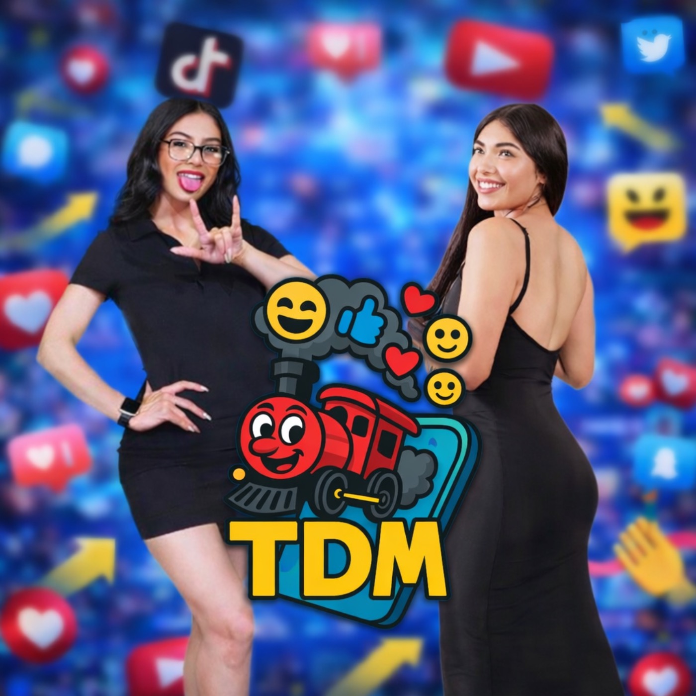TDM podcast artwork