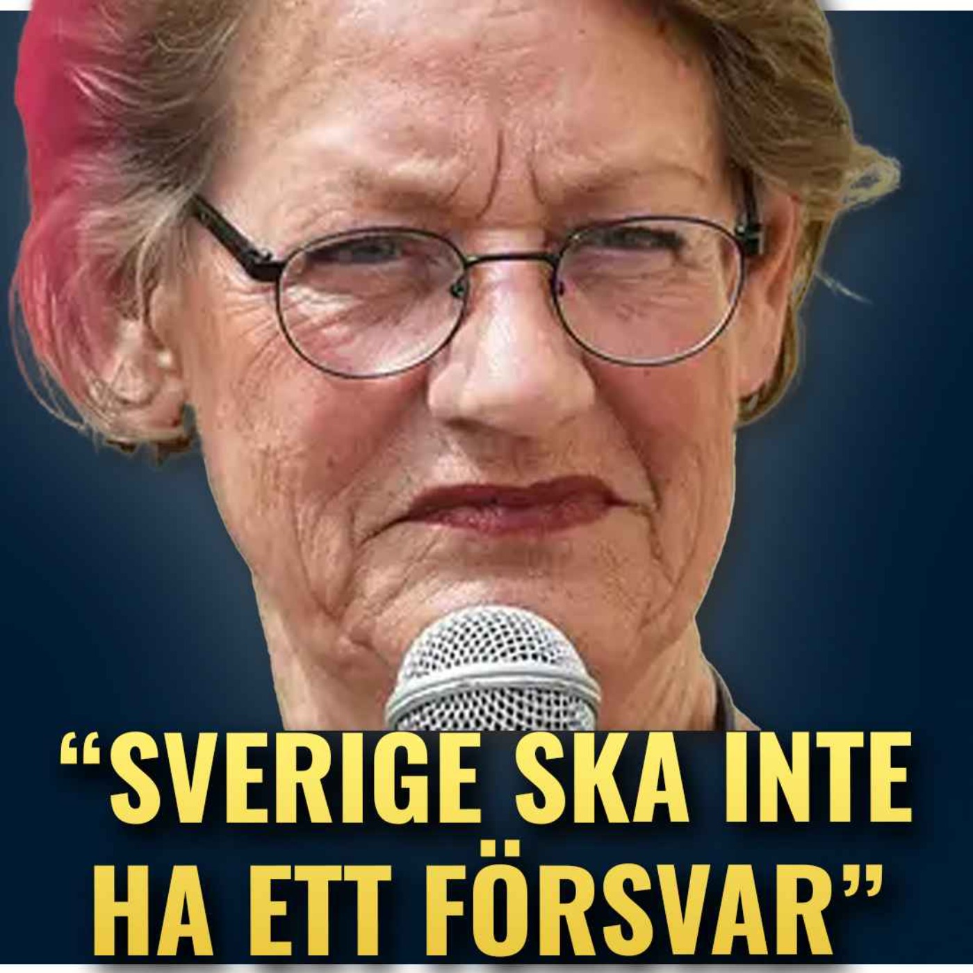 - Vi behöver inget försvar!, Gudrun Schyman