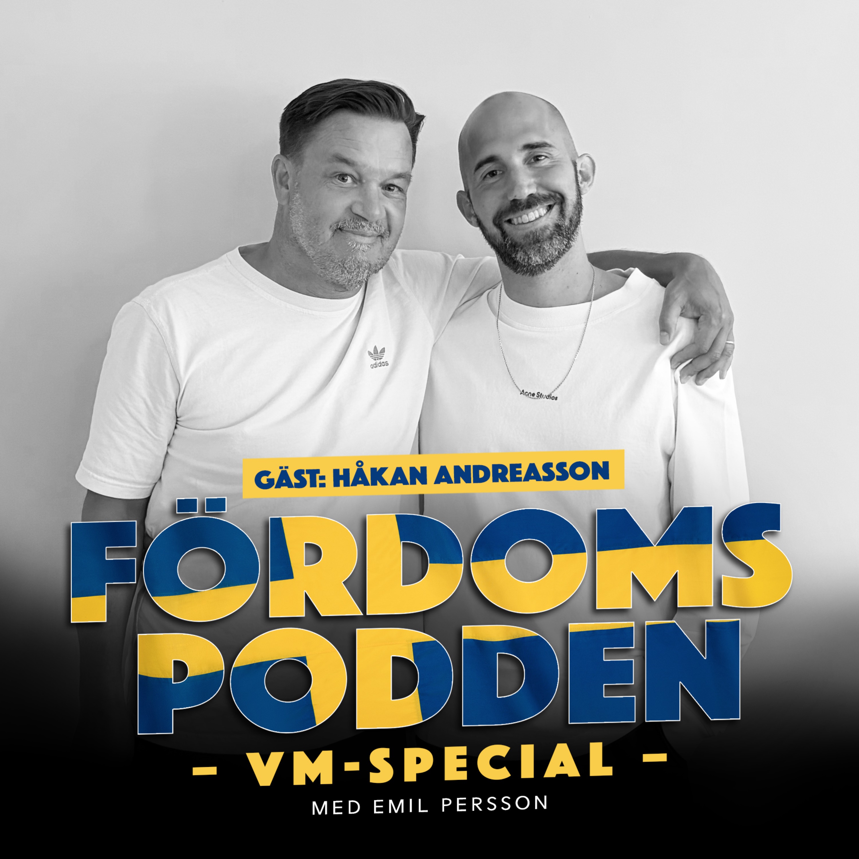 VM-special: Har H&aring;kan Andreasson aldrig t&auml;nkt p&aring; att det kan vara &rdquo;fint ljus&rdquo; utomhus?